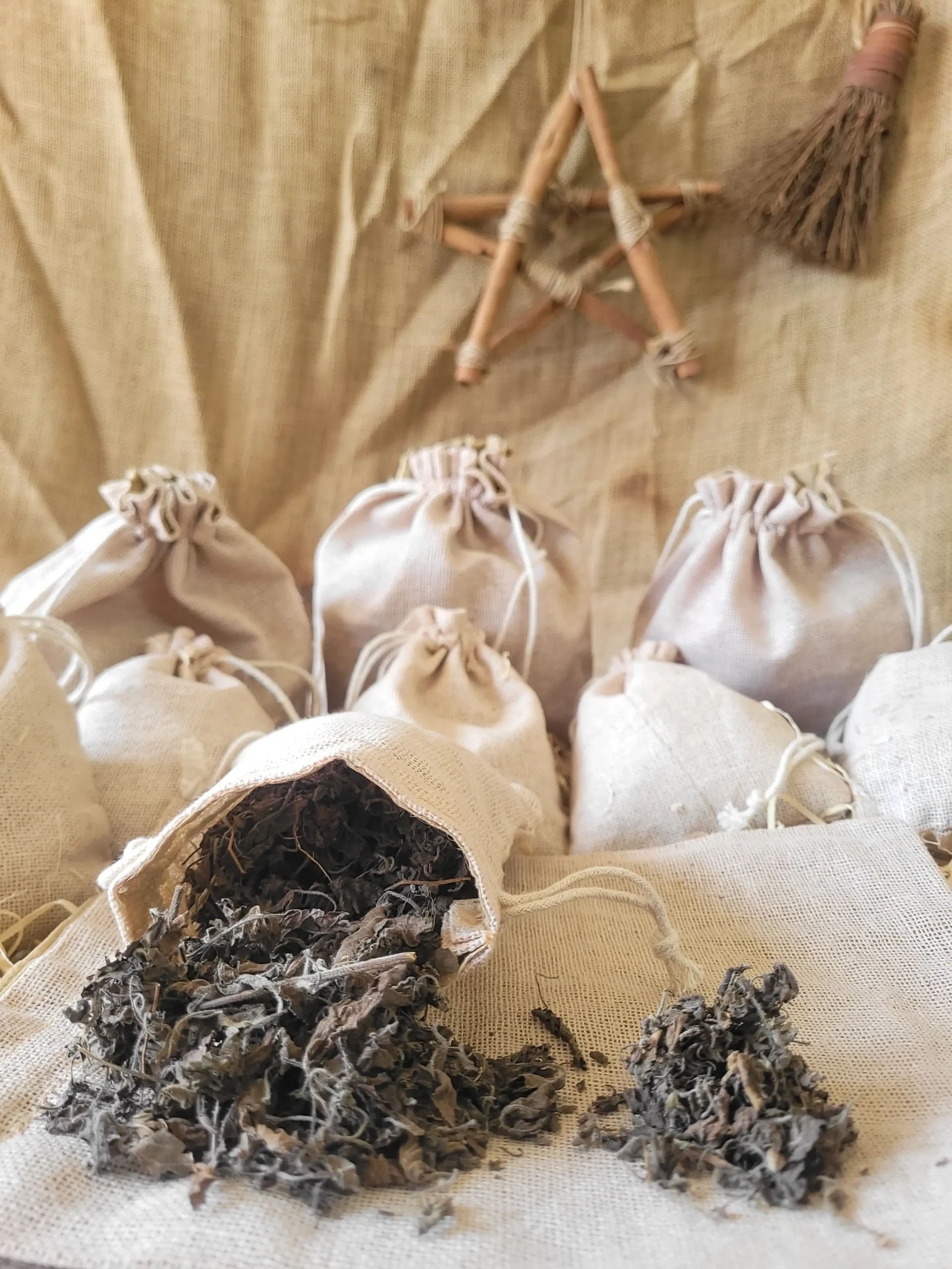 Basil Natural Herb