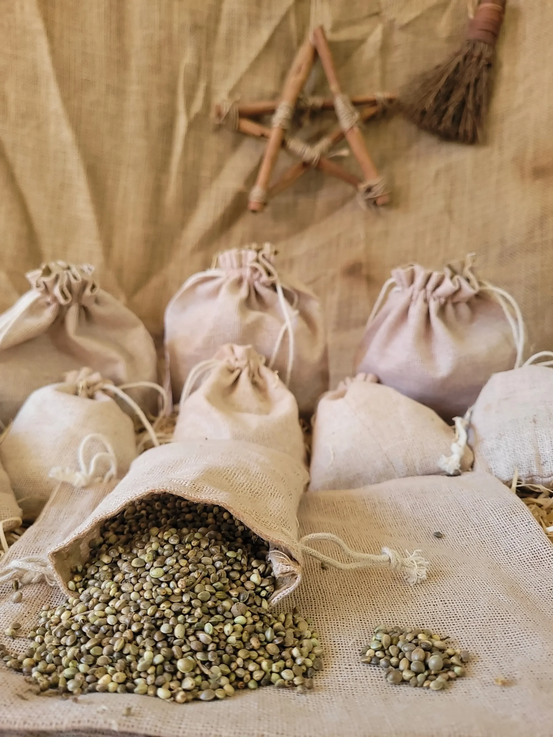 Bee Pollen Natural Herb