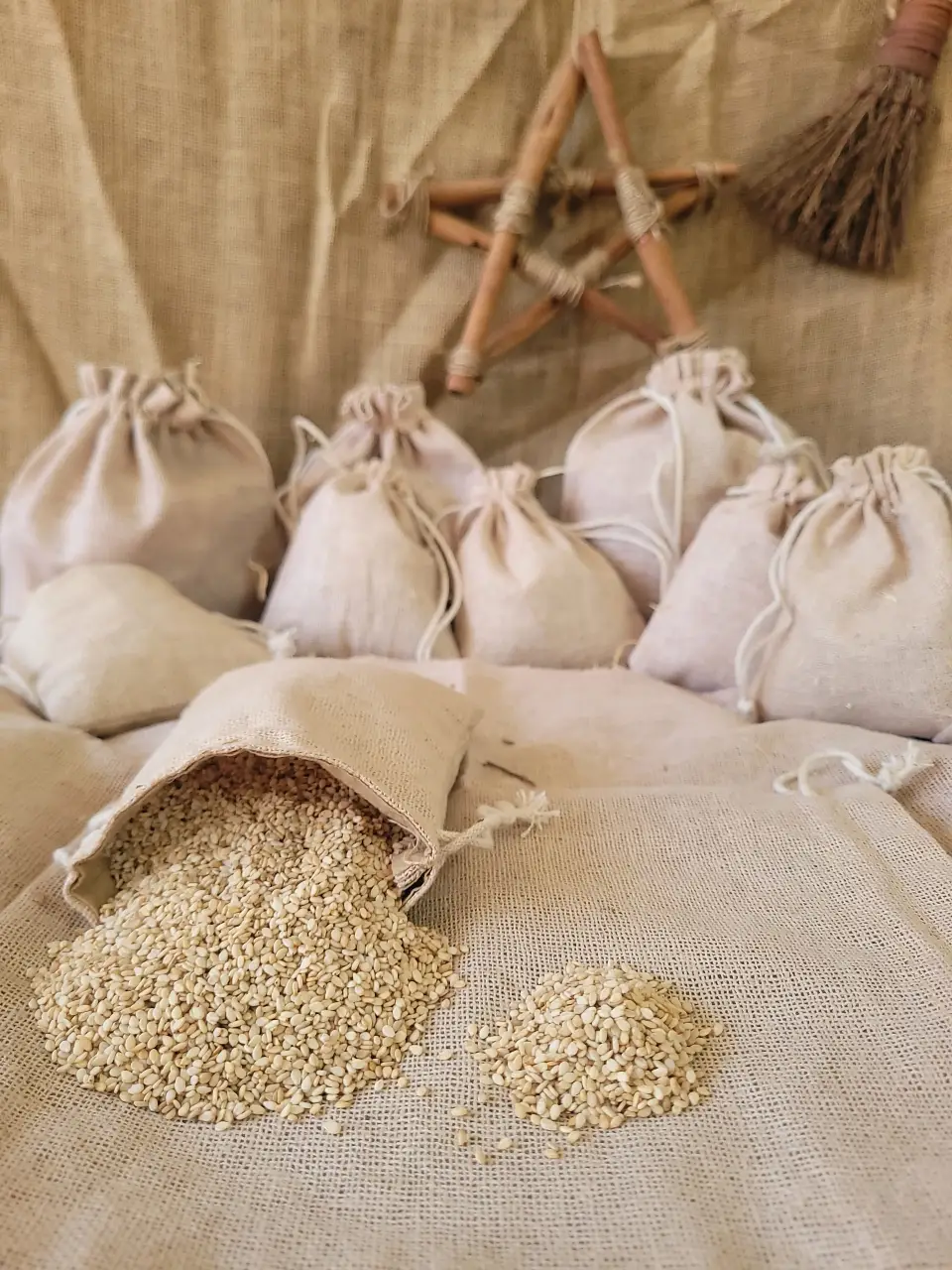 Cabbage Seeds Natural Herb