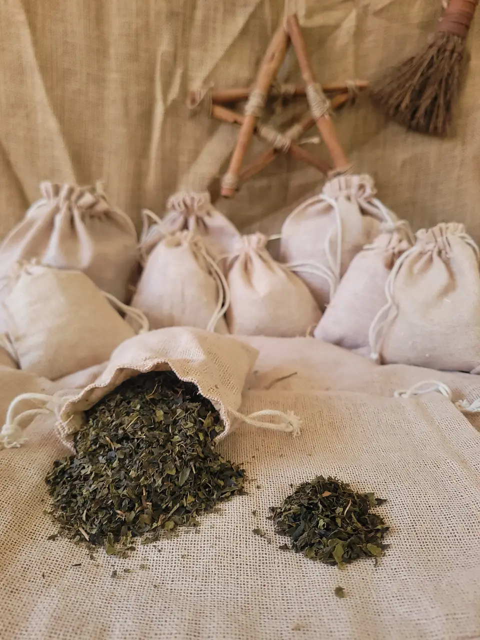 Camellia Natural Herb
