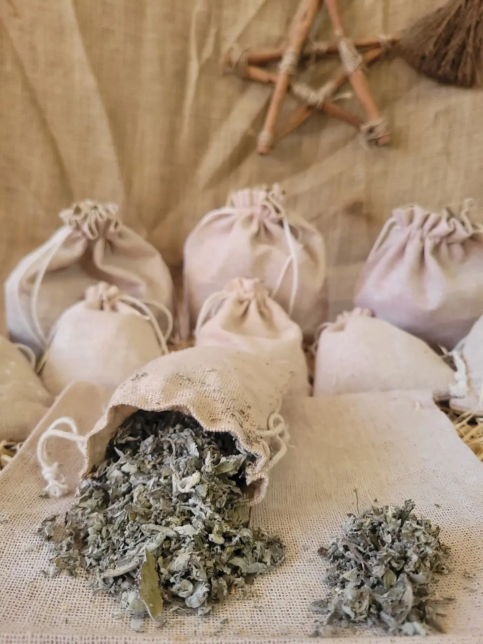 Catnip Natural Herb