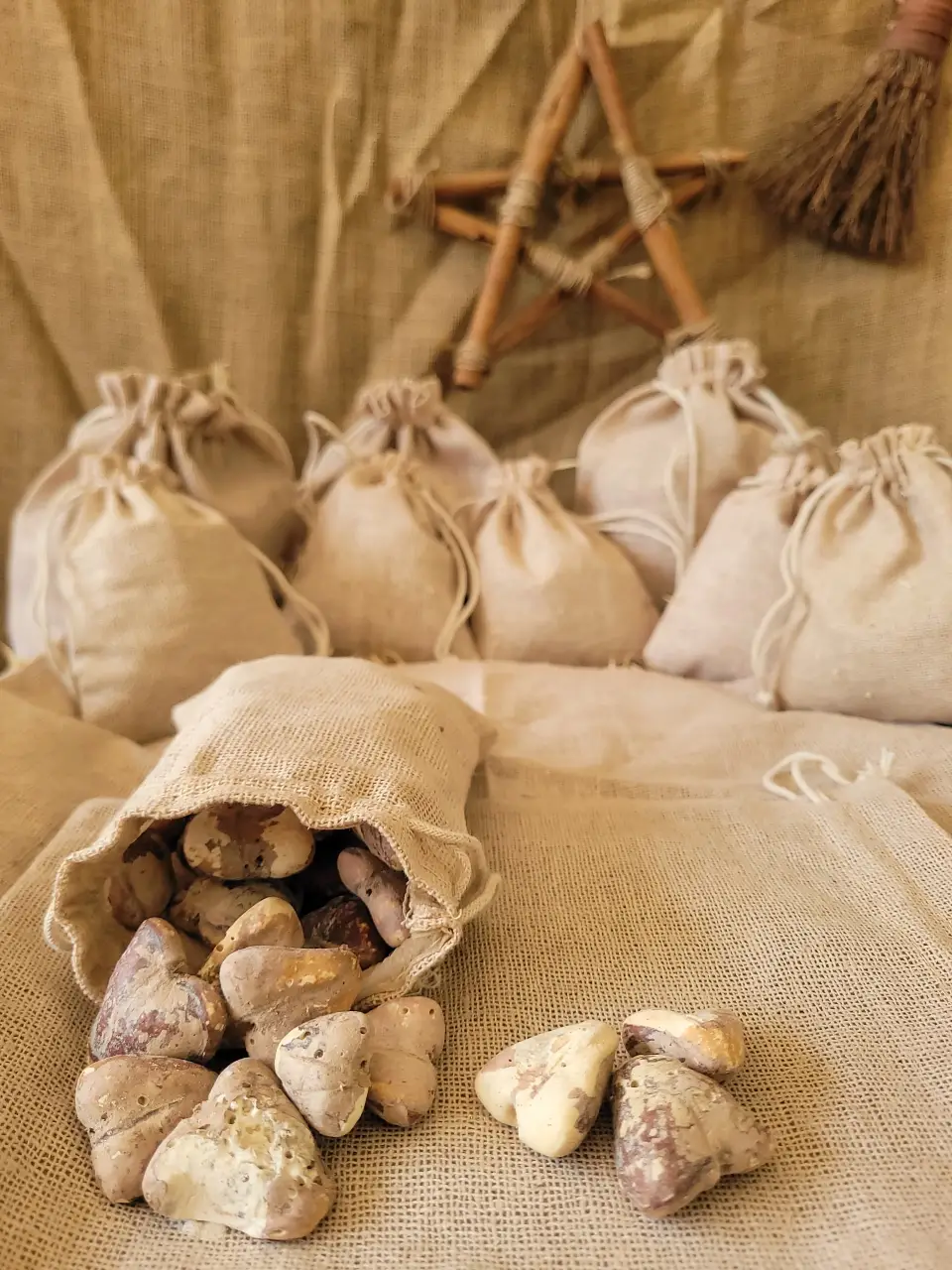 Chestnut Natural Herb