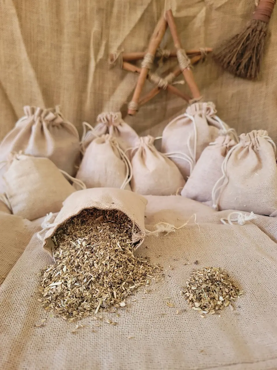 Chicory Natural Herb