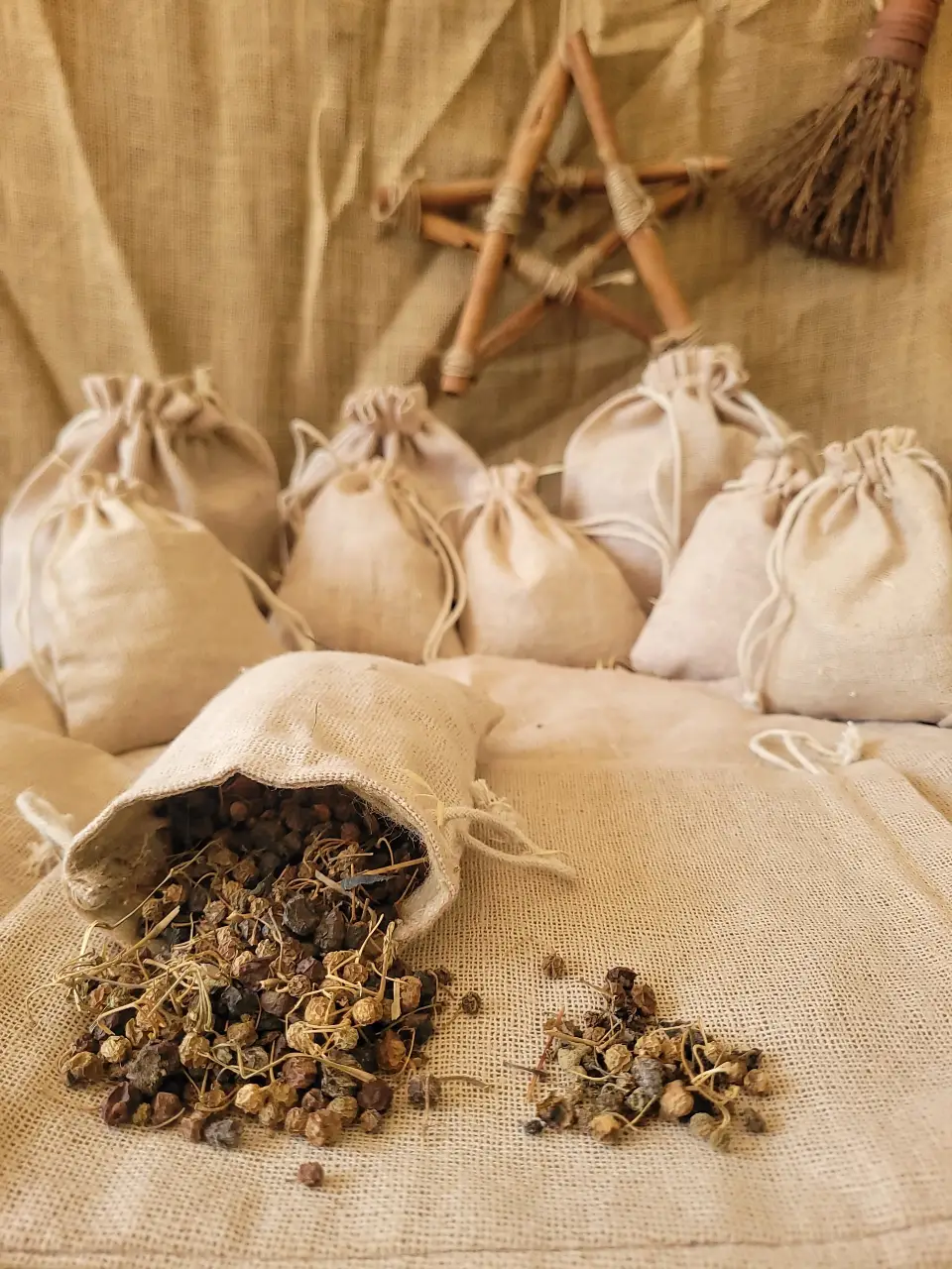 Chickweed Natural Herb