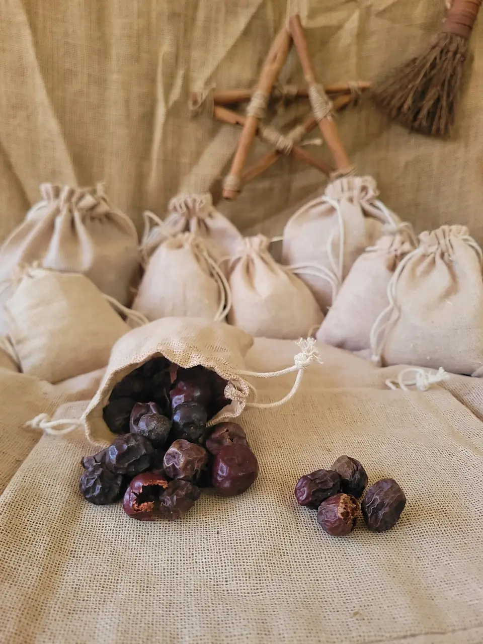 China Berry Natural Herb