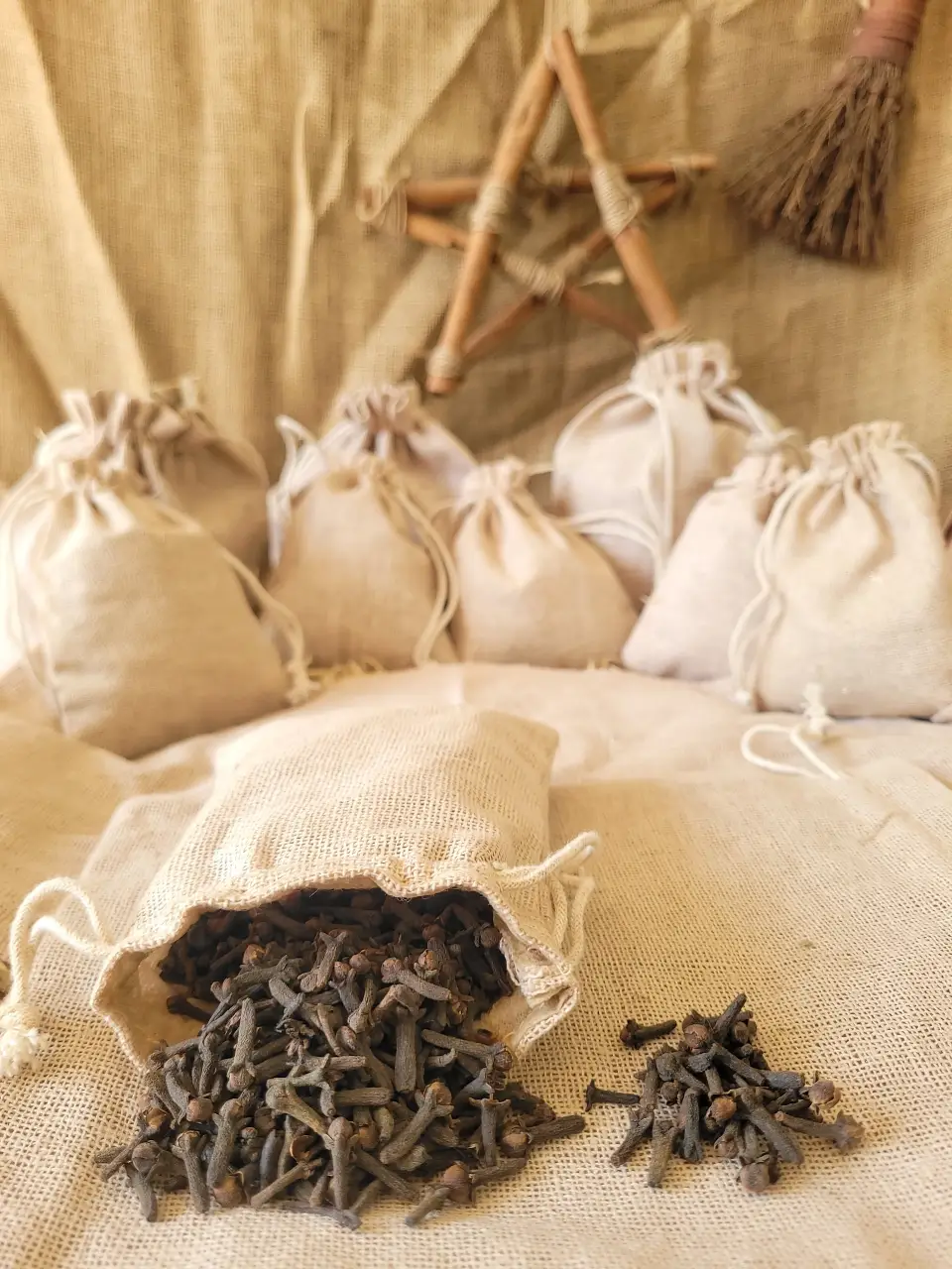 Clove Natural Herb