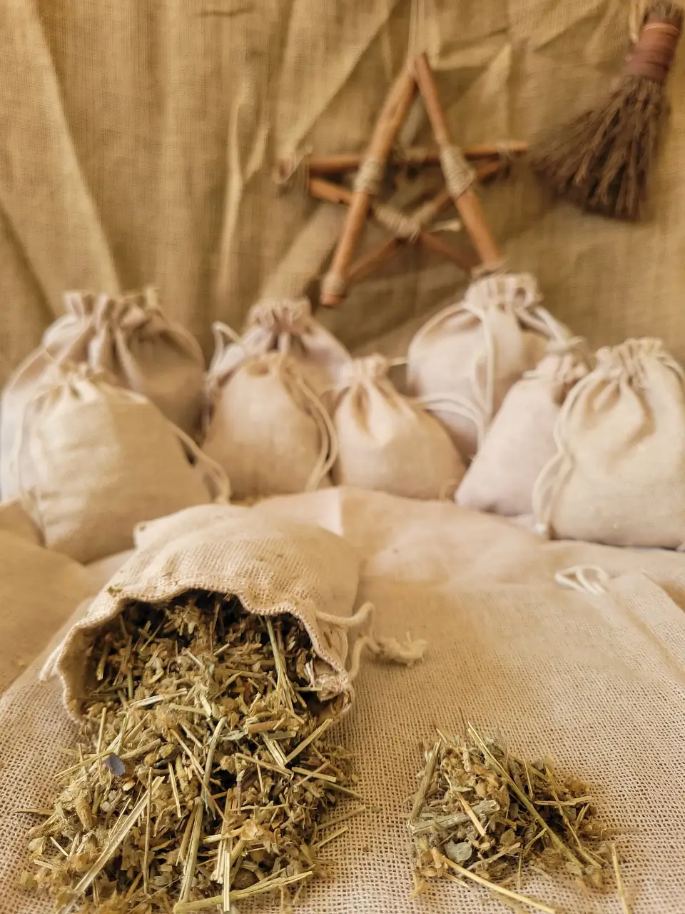 Club Moss Natural Herb