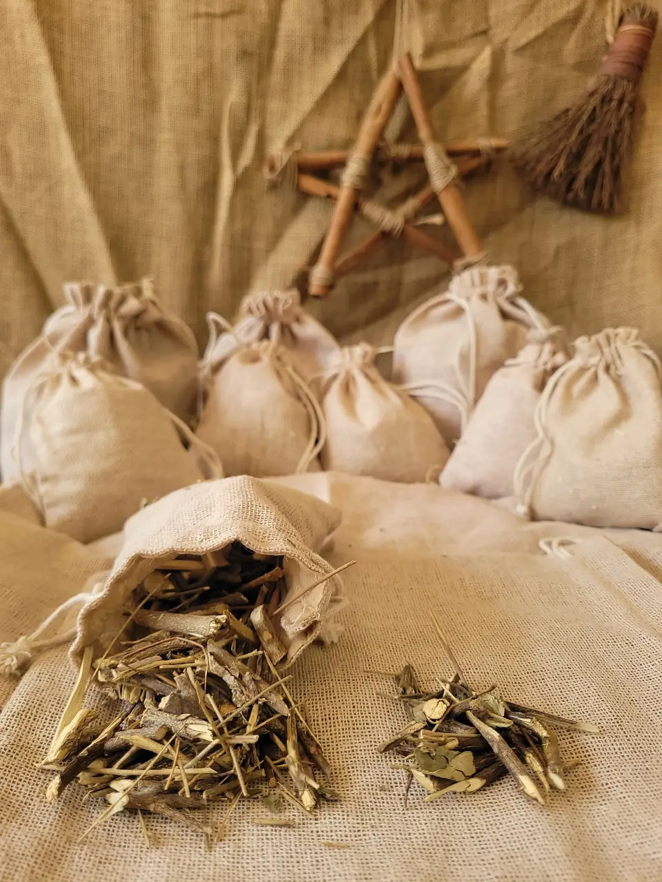 Cow Grass Natural Herb