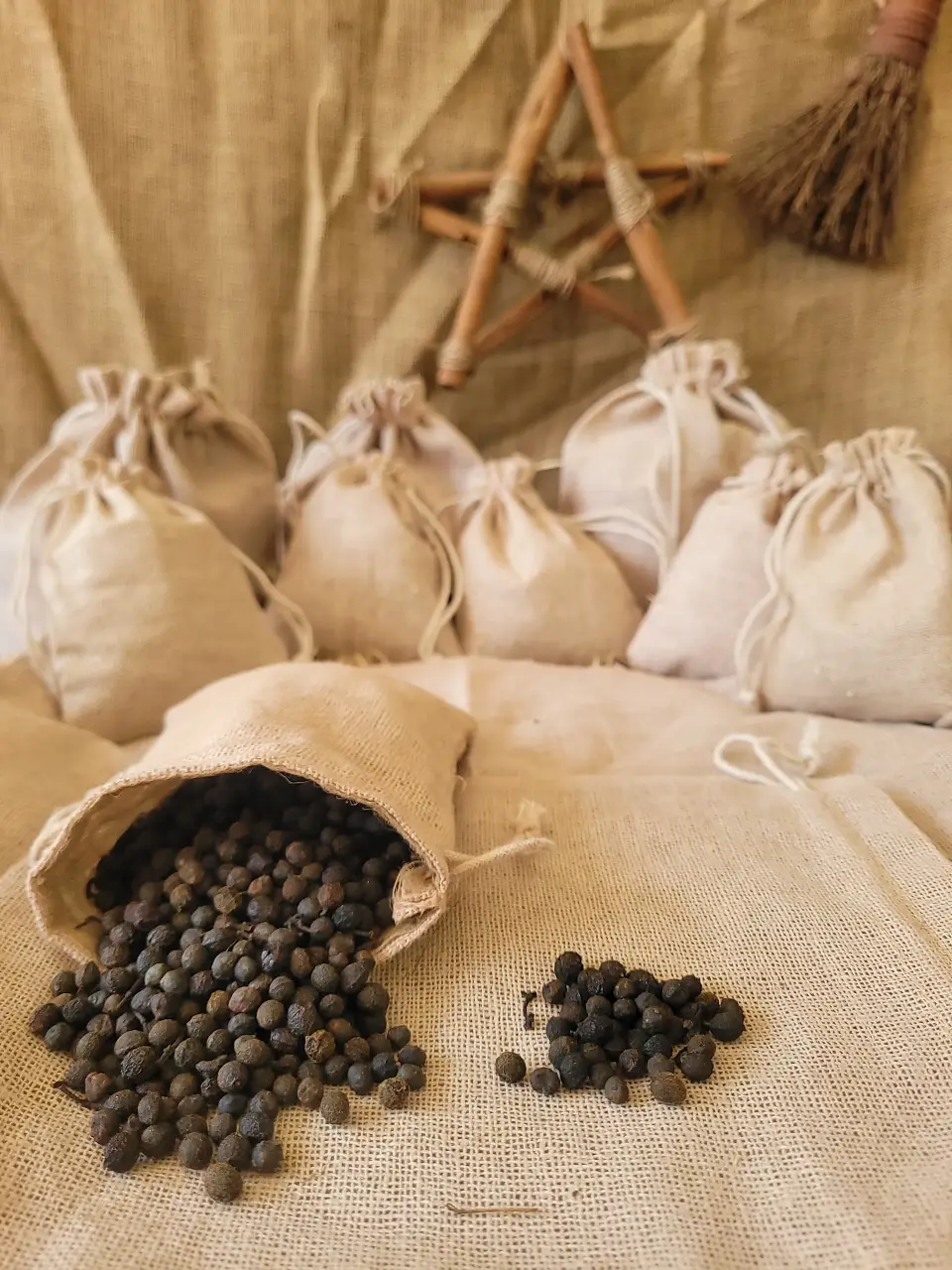 Cubeb Berries Natural Herb