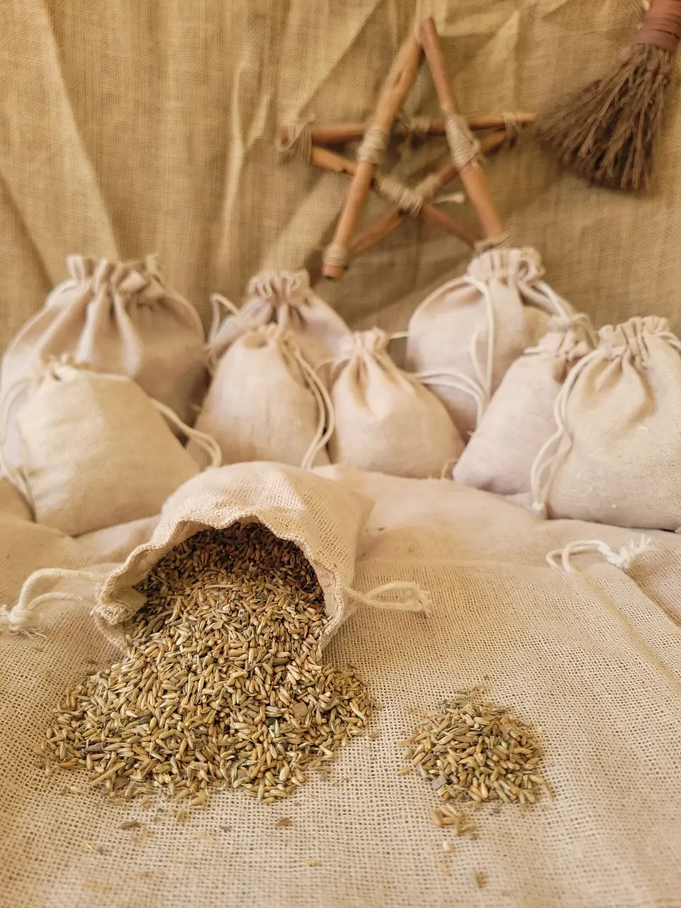 Cypress Natural Herb