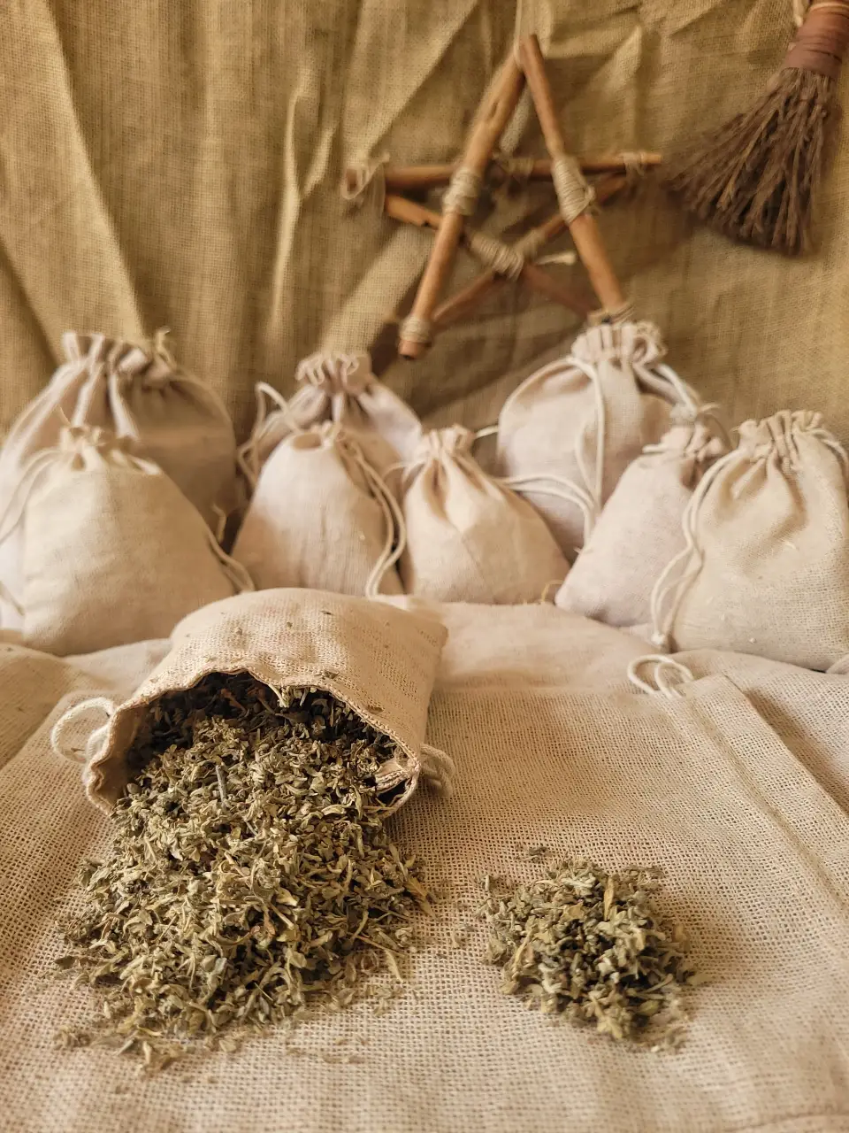 Damiana Natural Herb