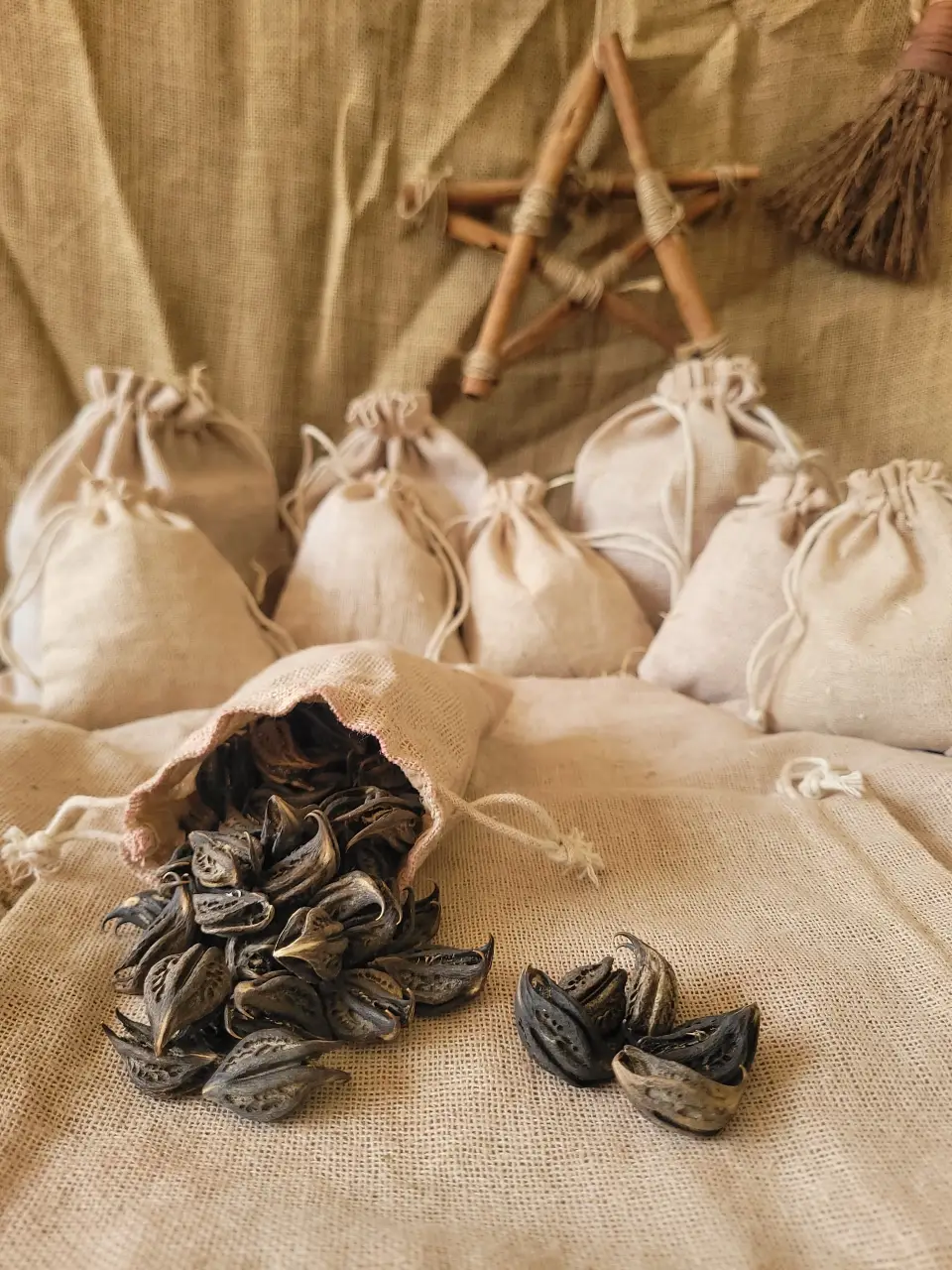 Devil Claw Natural Herb
