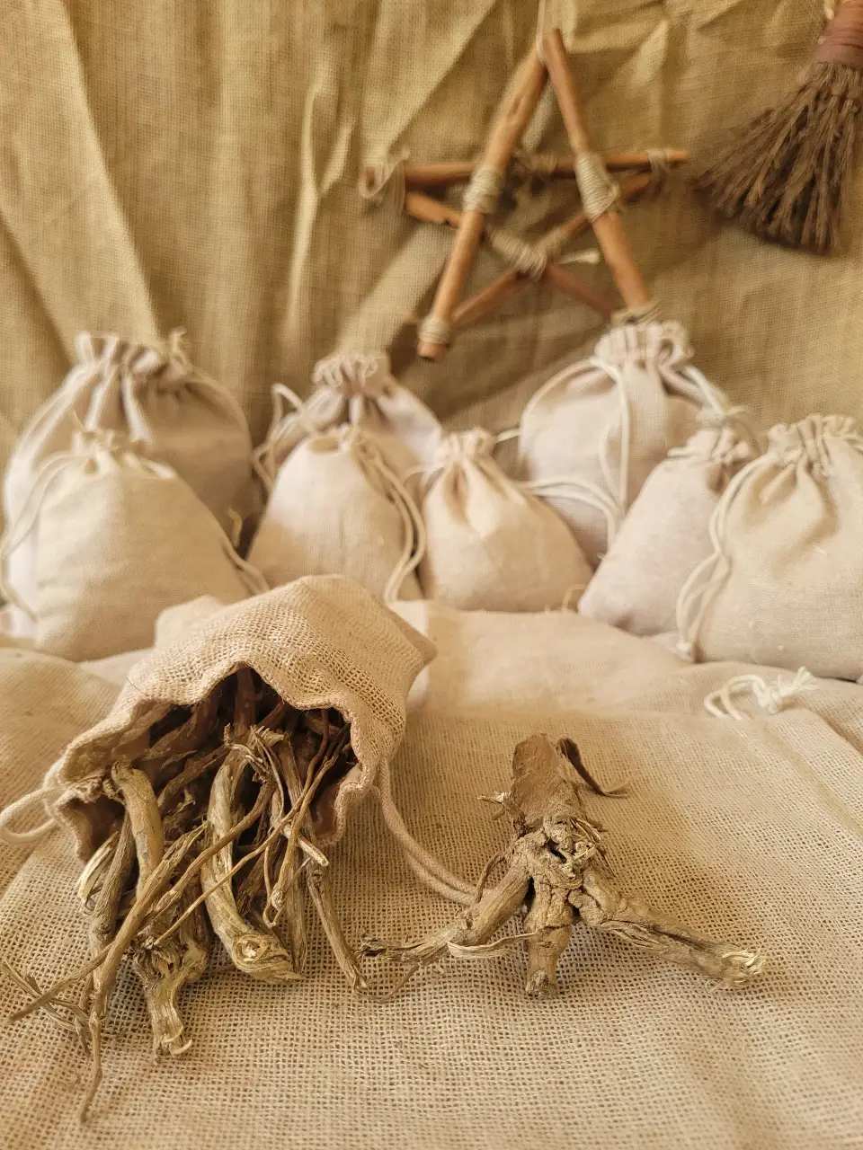 Devil Shoestring Natural Herb