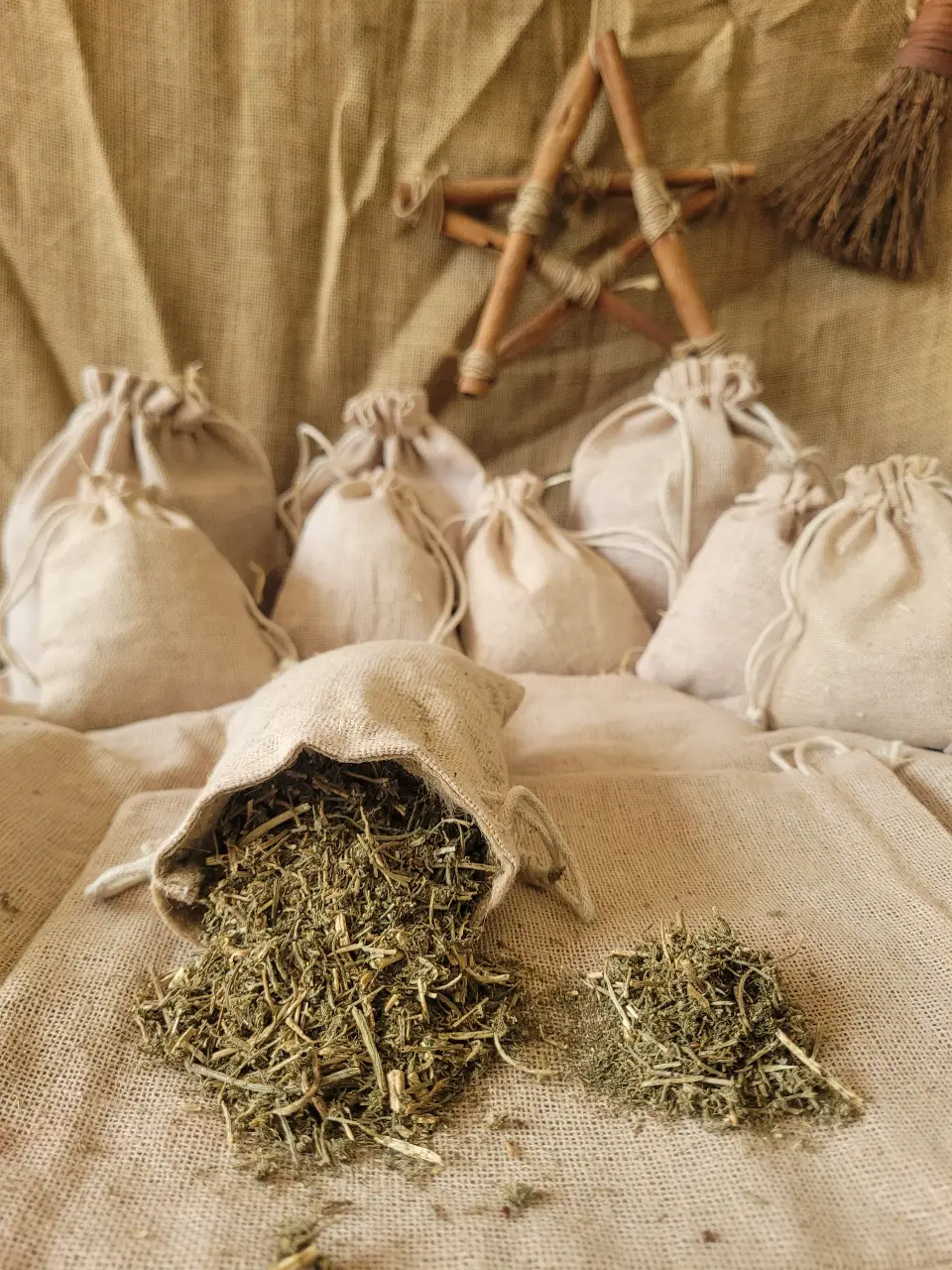 Dill Natural Herb