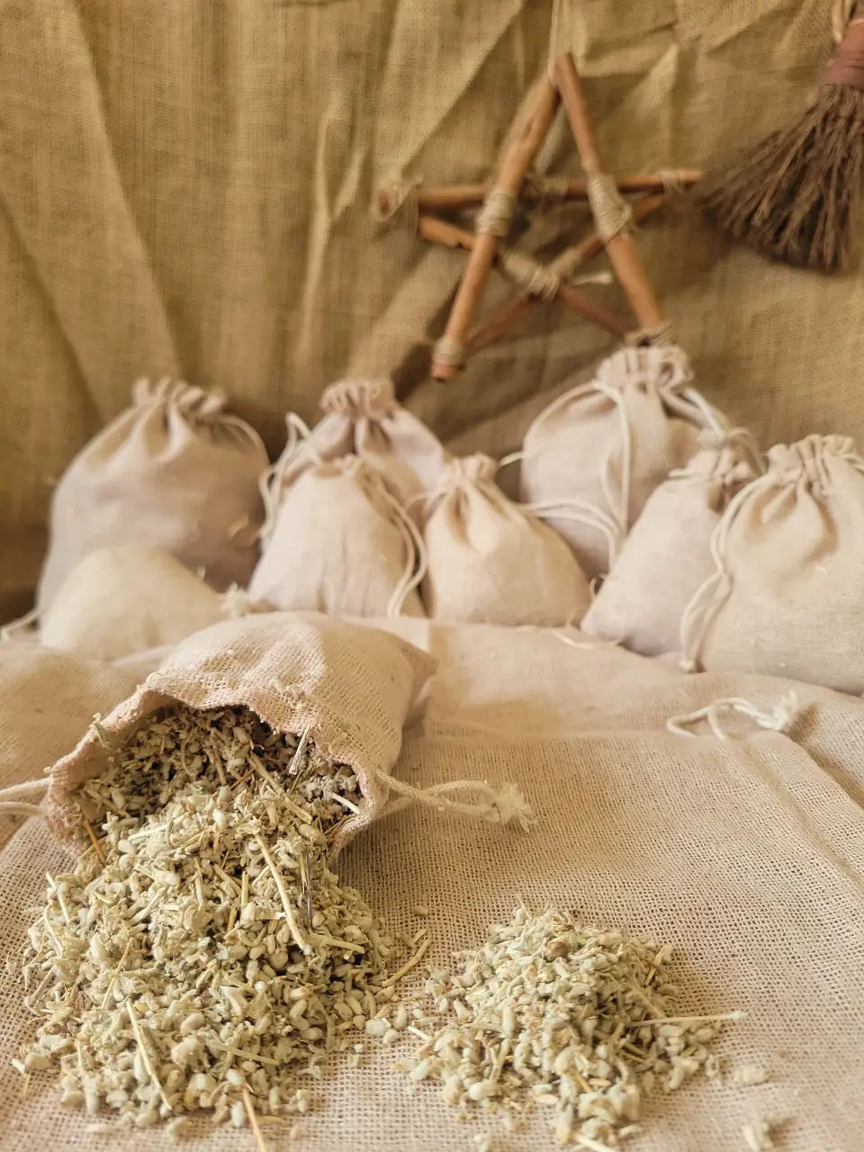 Elder Flower Natural Herb