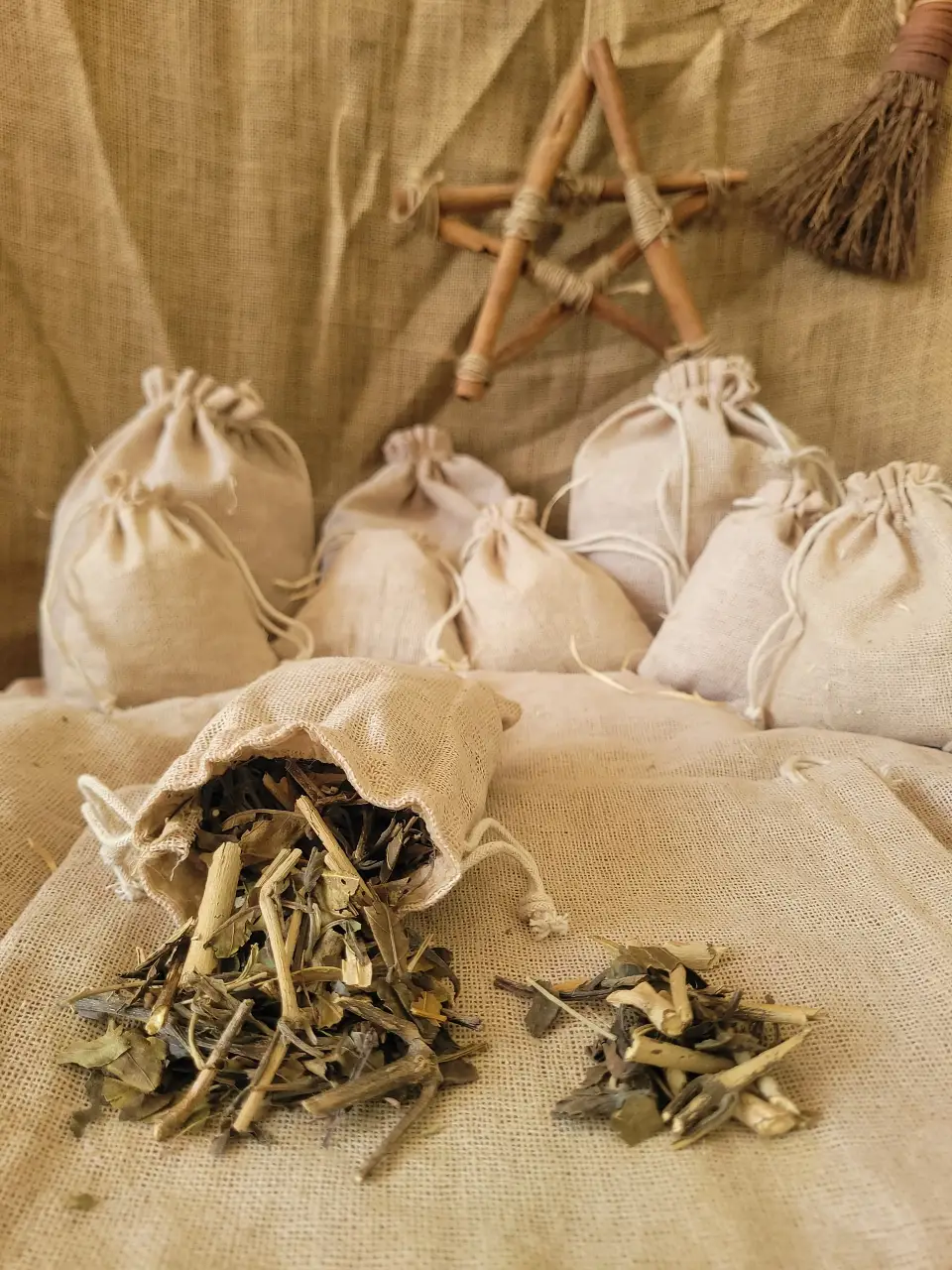 Five Finger Grass Natural Herb