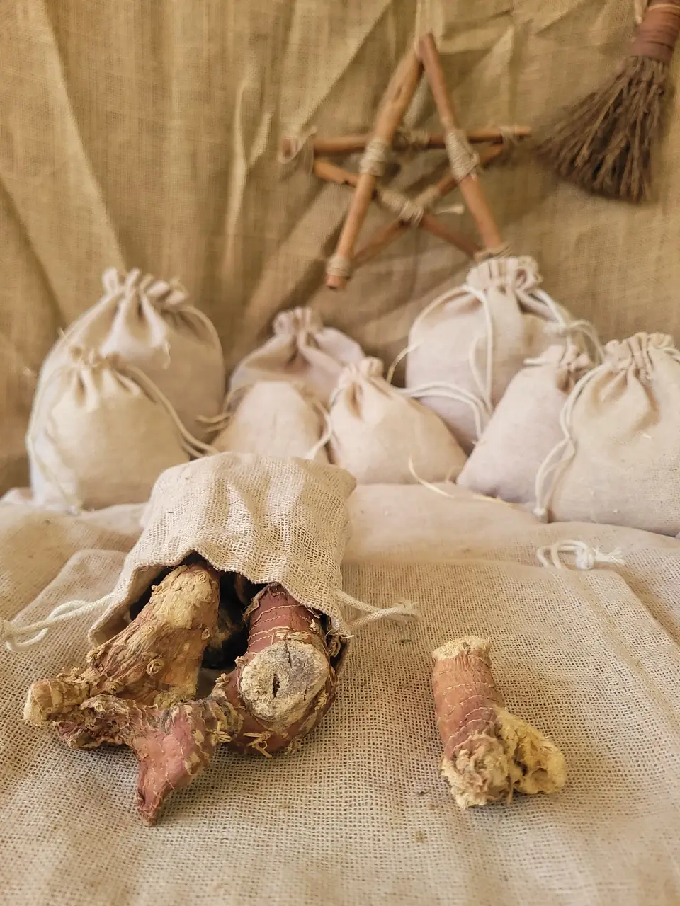 Galangal Natural Herb