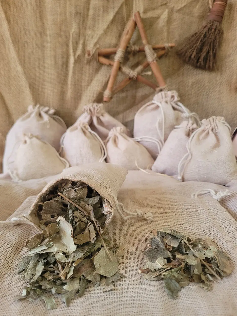Ginko Biloba Natural Herb