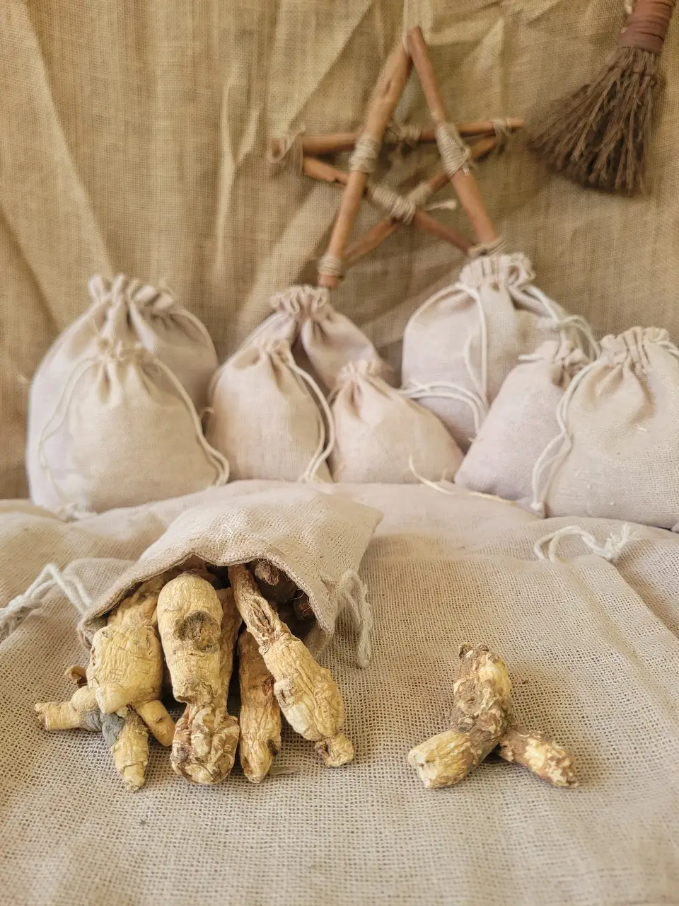Ginseng Natural Herb
