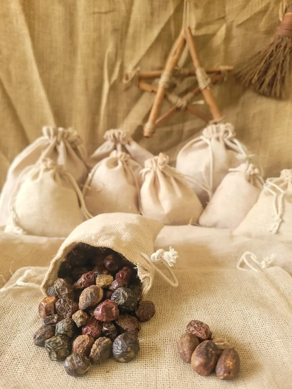 Horehound Natural Herb
