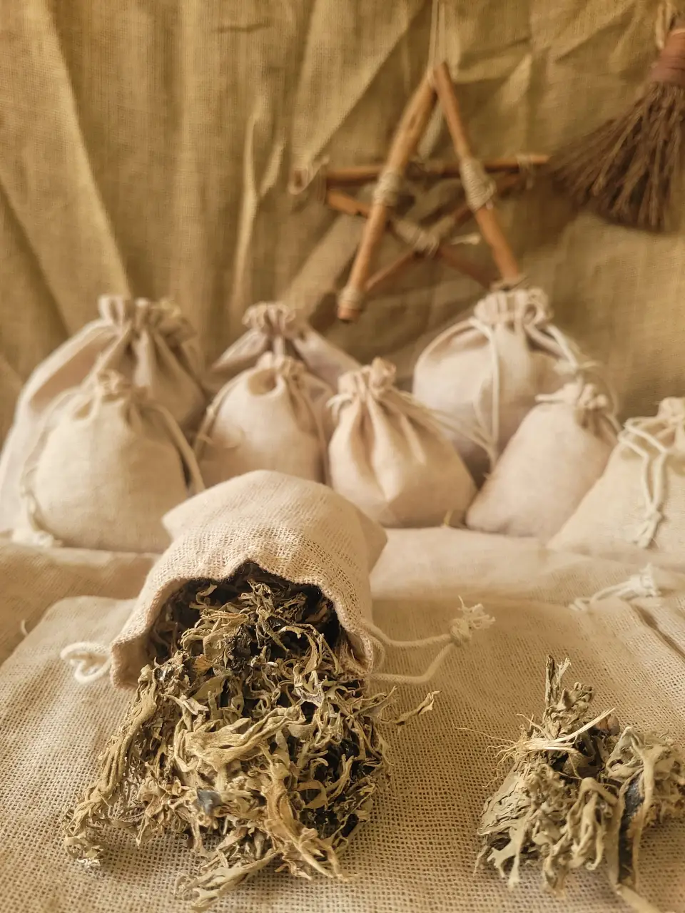 Irish Moss Natural Herb