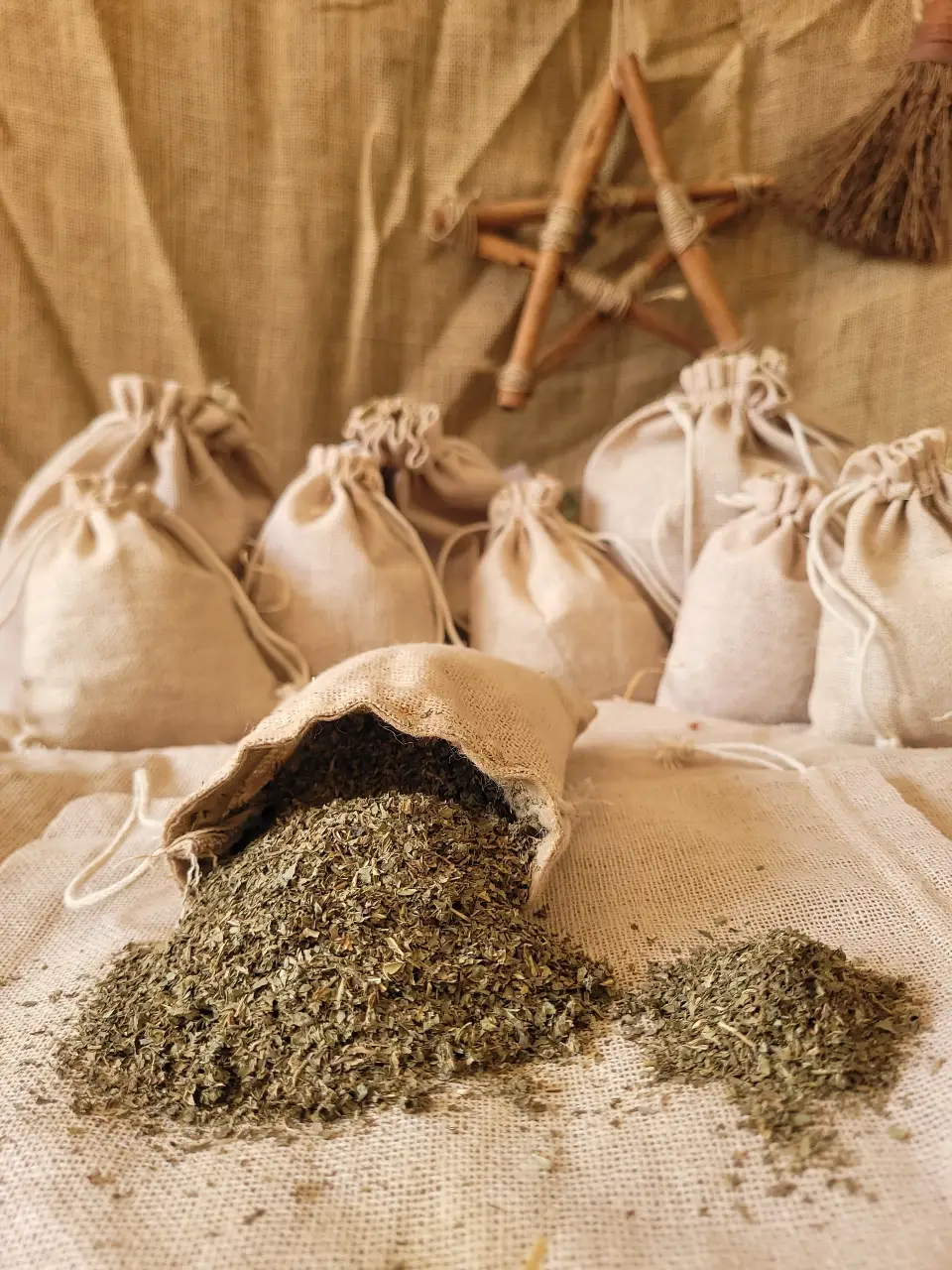 Lemon Balm Natural Herb