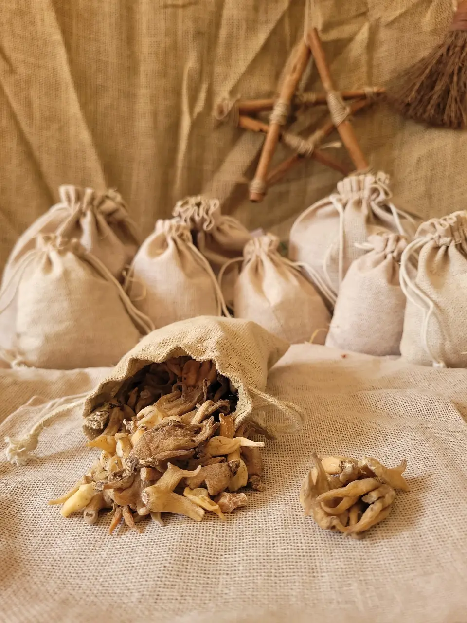 Lucky Hand Root Natural Herb