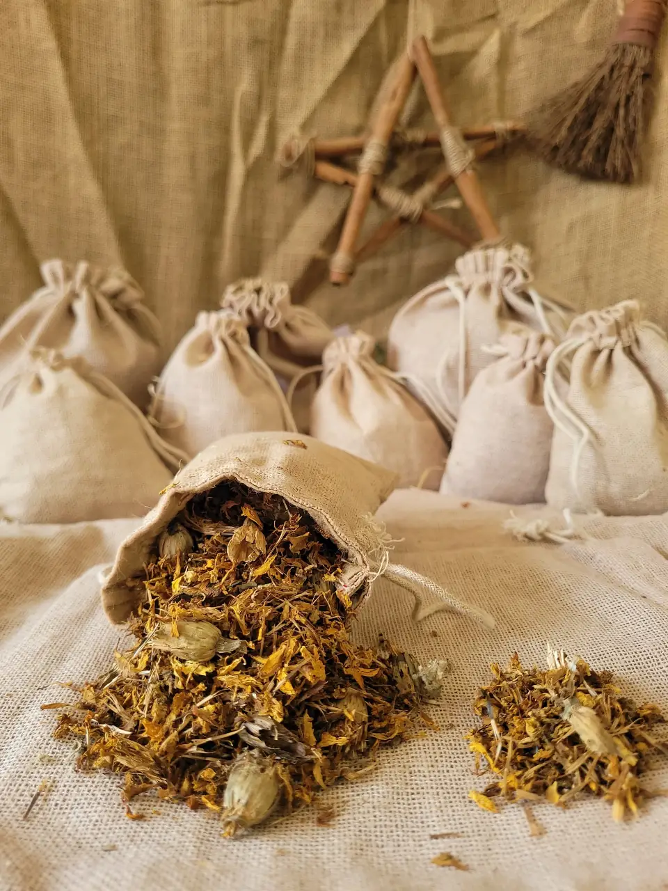 Mari-gold-natural-herb