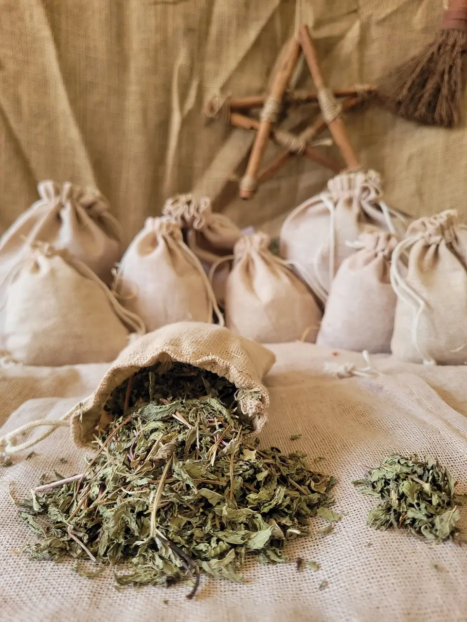 Mint Natural Herb
