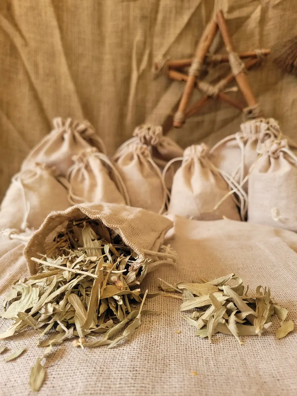 papaya-leaves-natural-herb