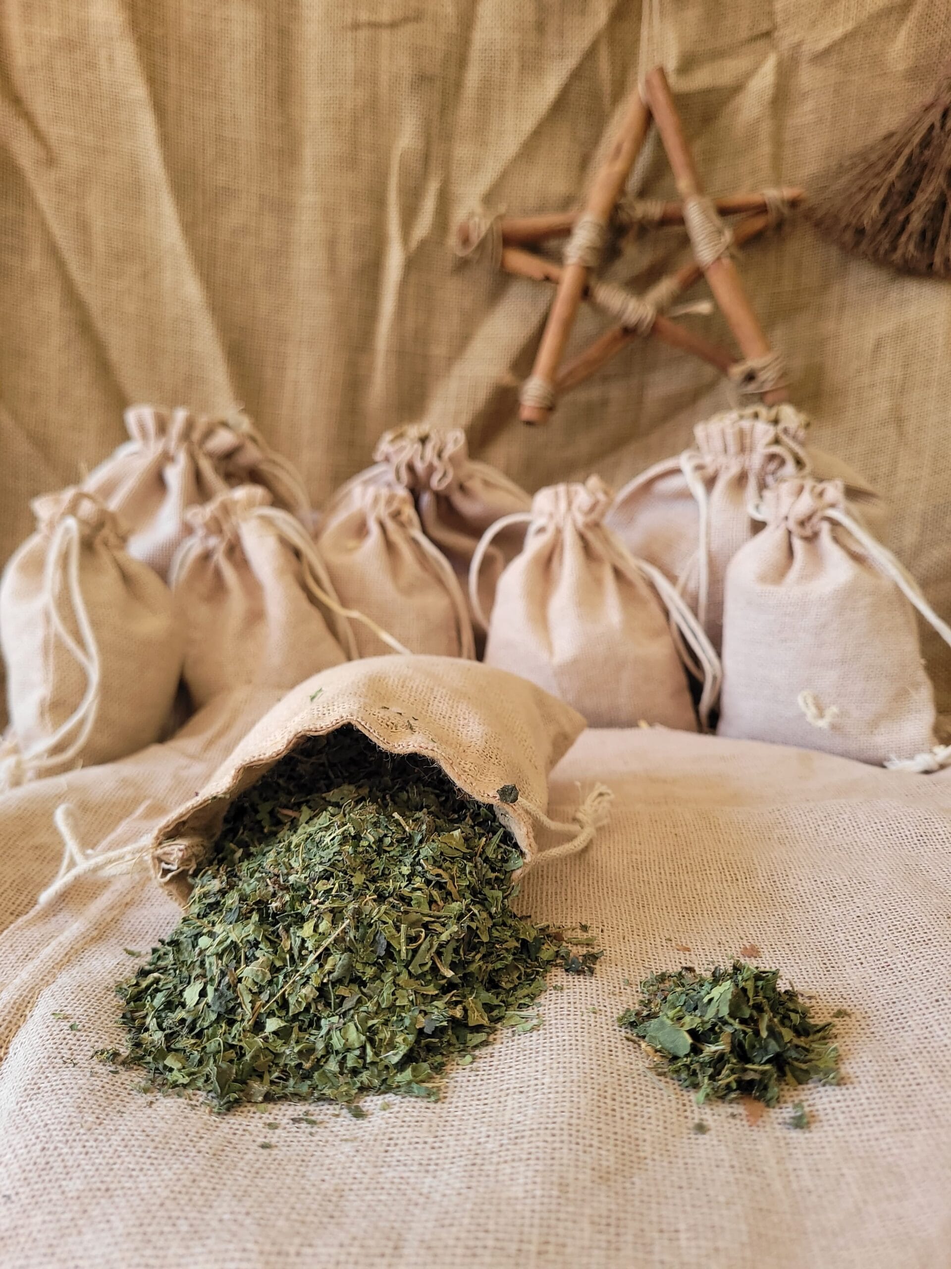 Periwinkle Natural Herb