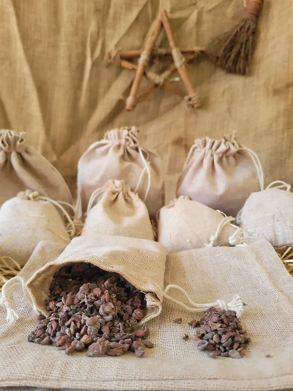 Apple-seeds-herb