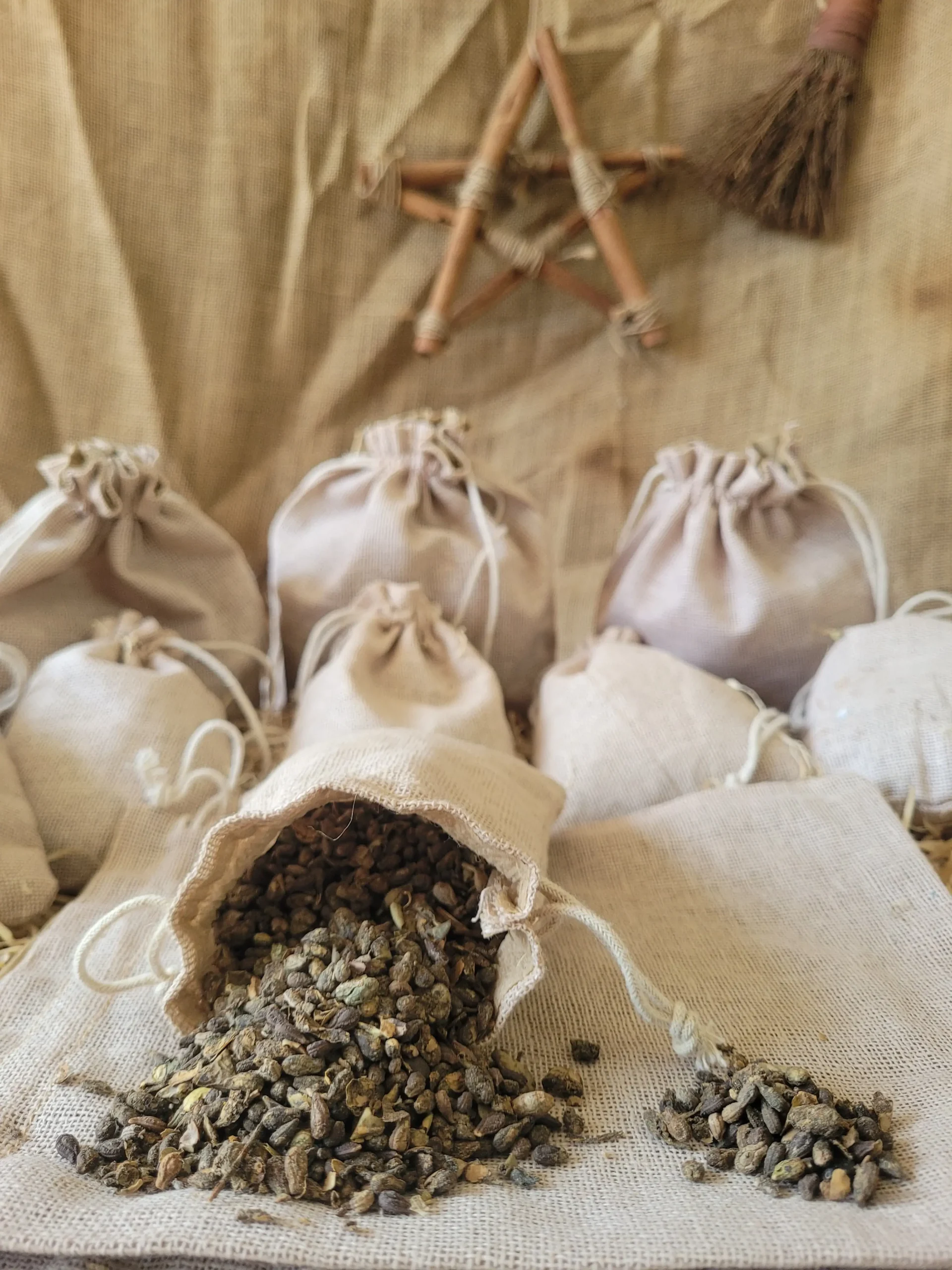 blessed-thistle-seeds