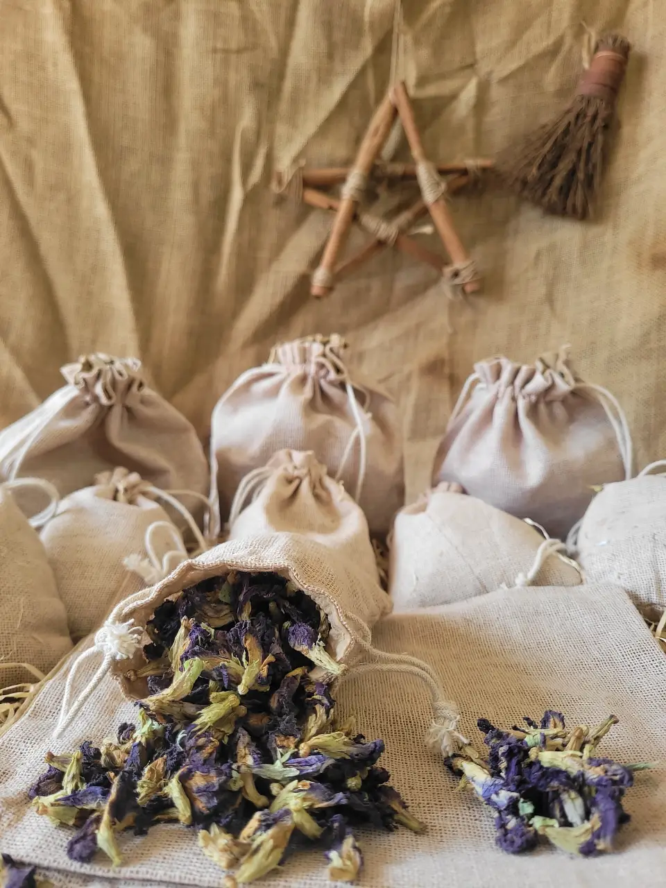 blue-Pea-flower-natural-herbs