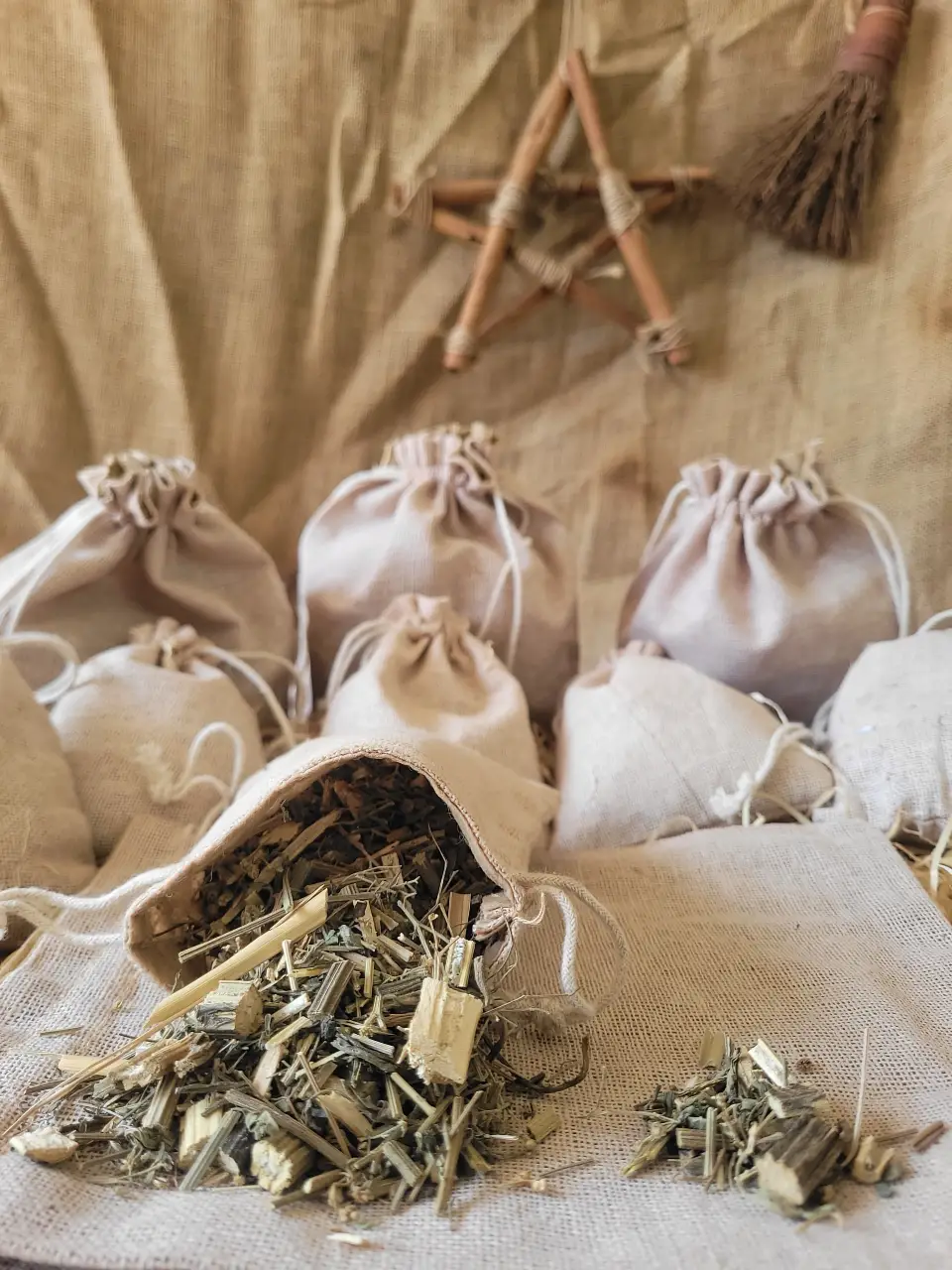 blue-vervain