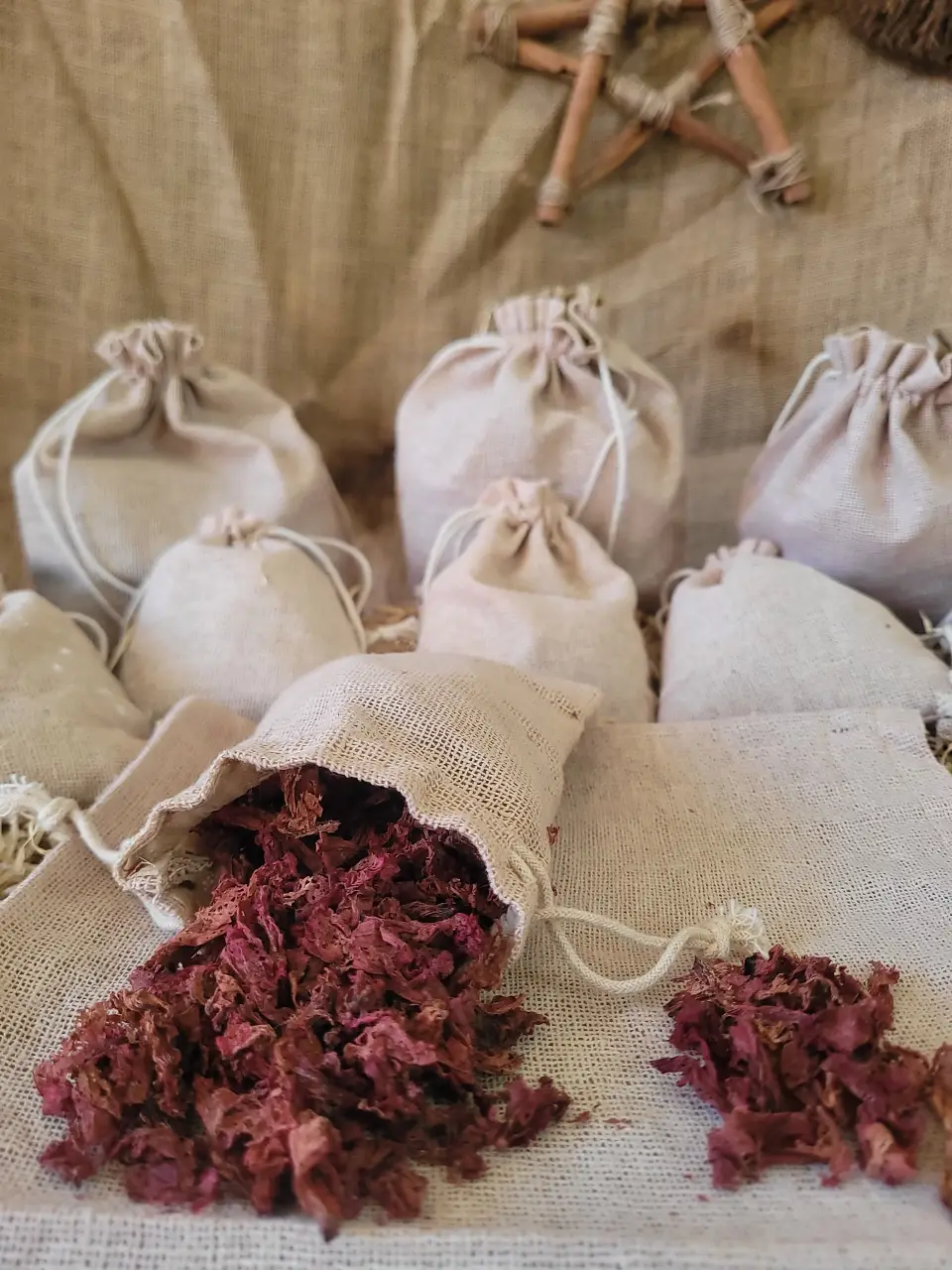 carnation-natural-herb