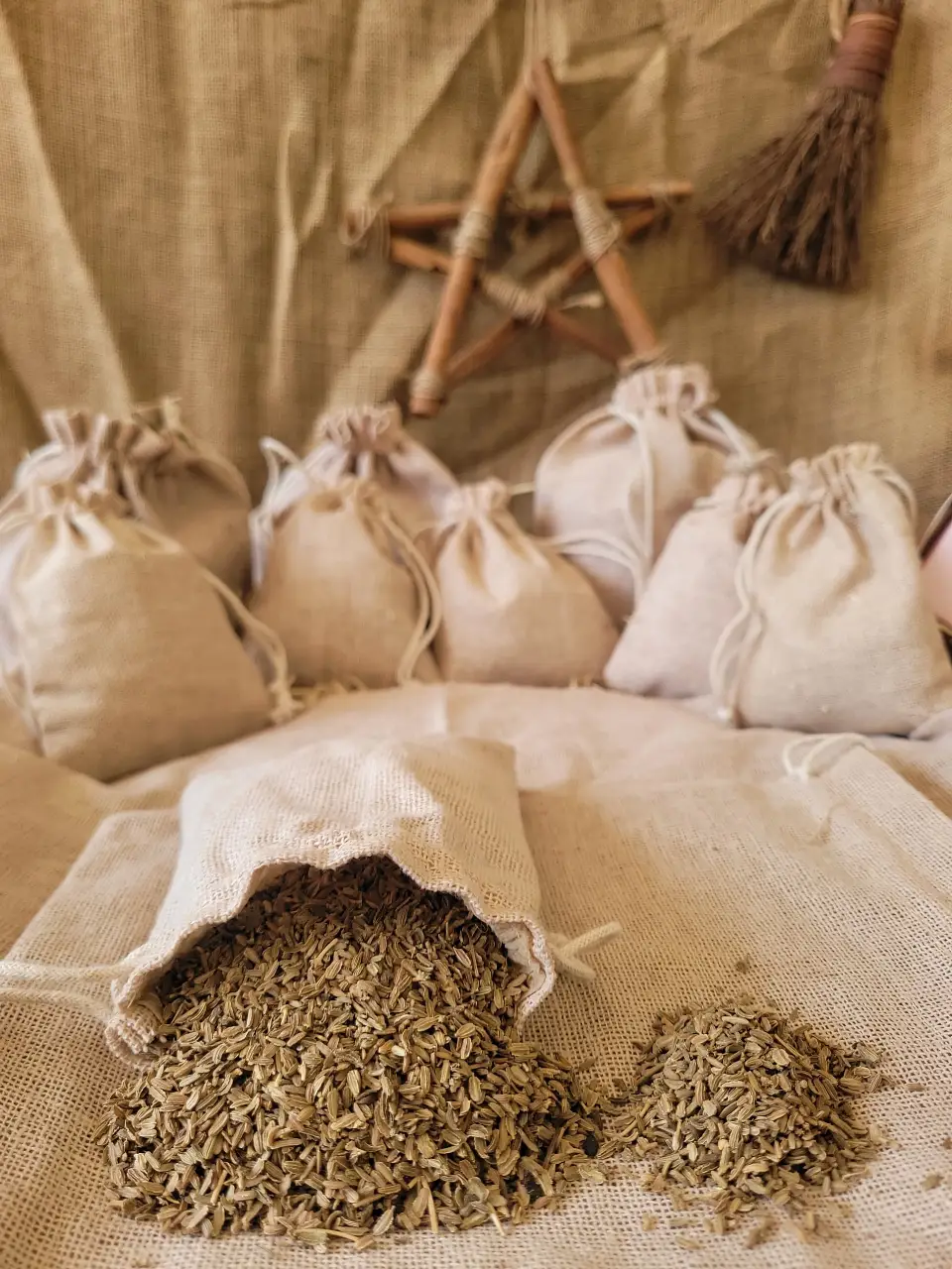 cassot-seeds