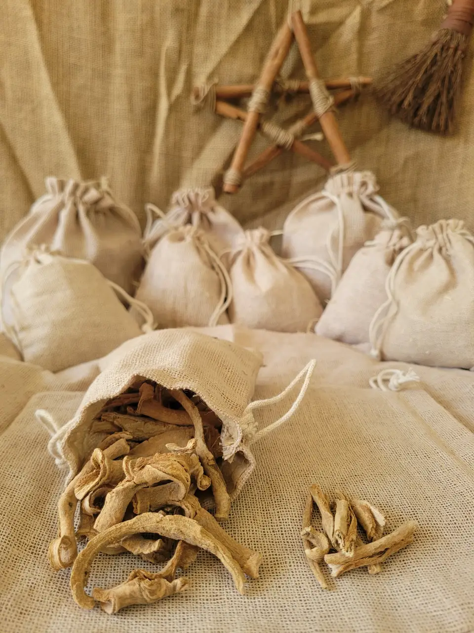 cat-tail-root