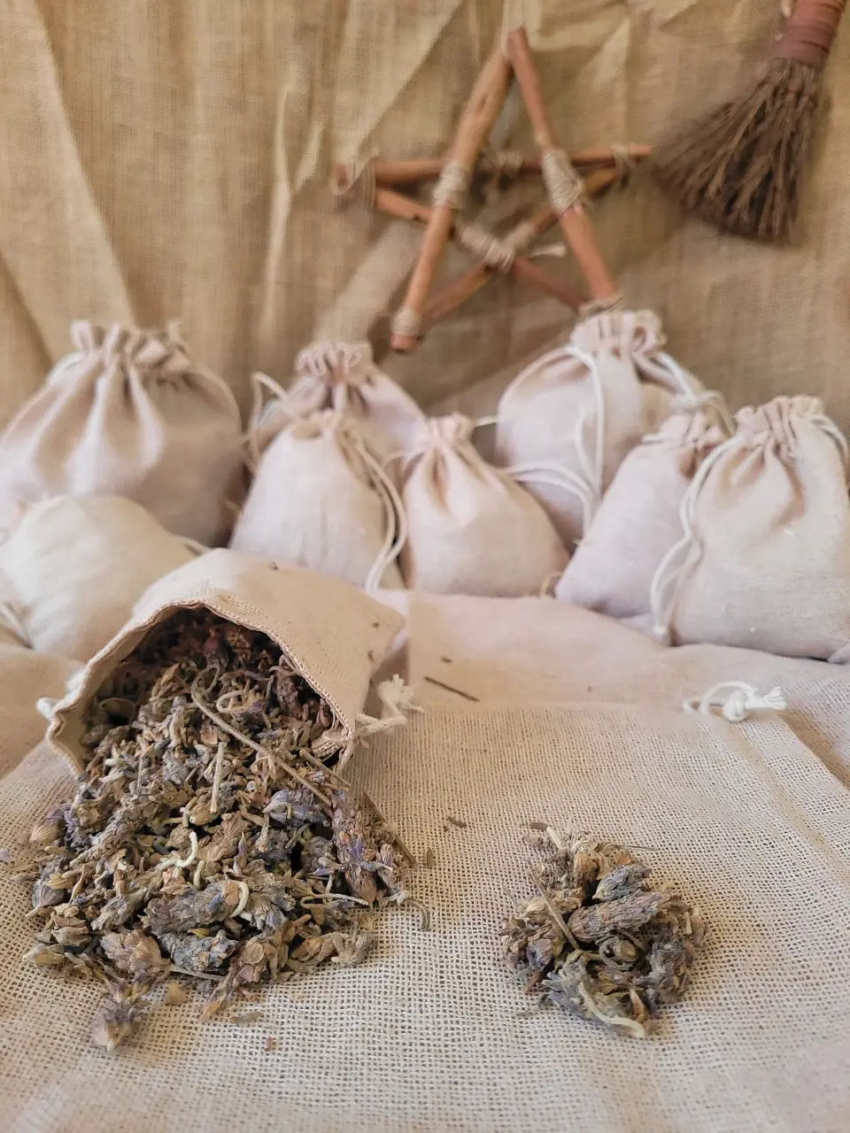 cauender-flower-natural-herb
