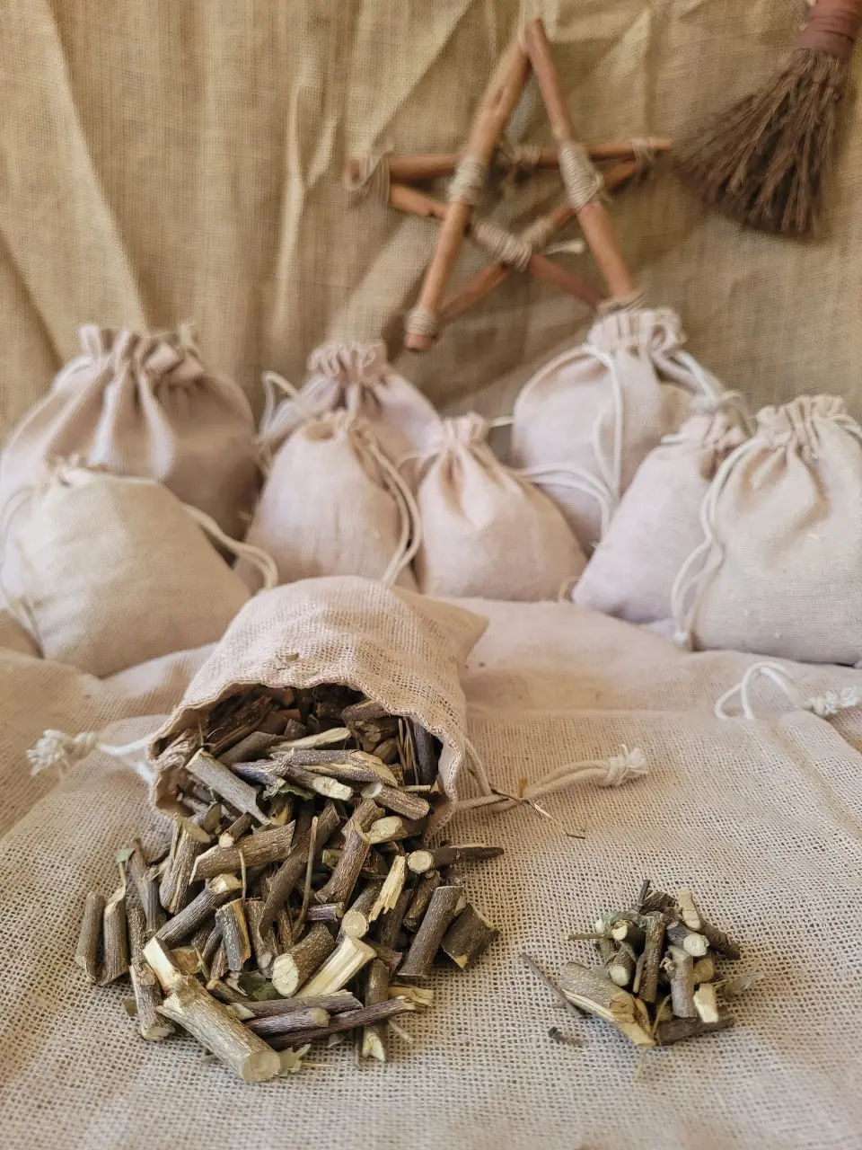 china-berry-root