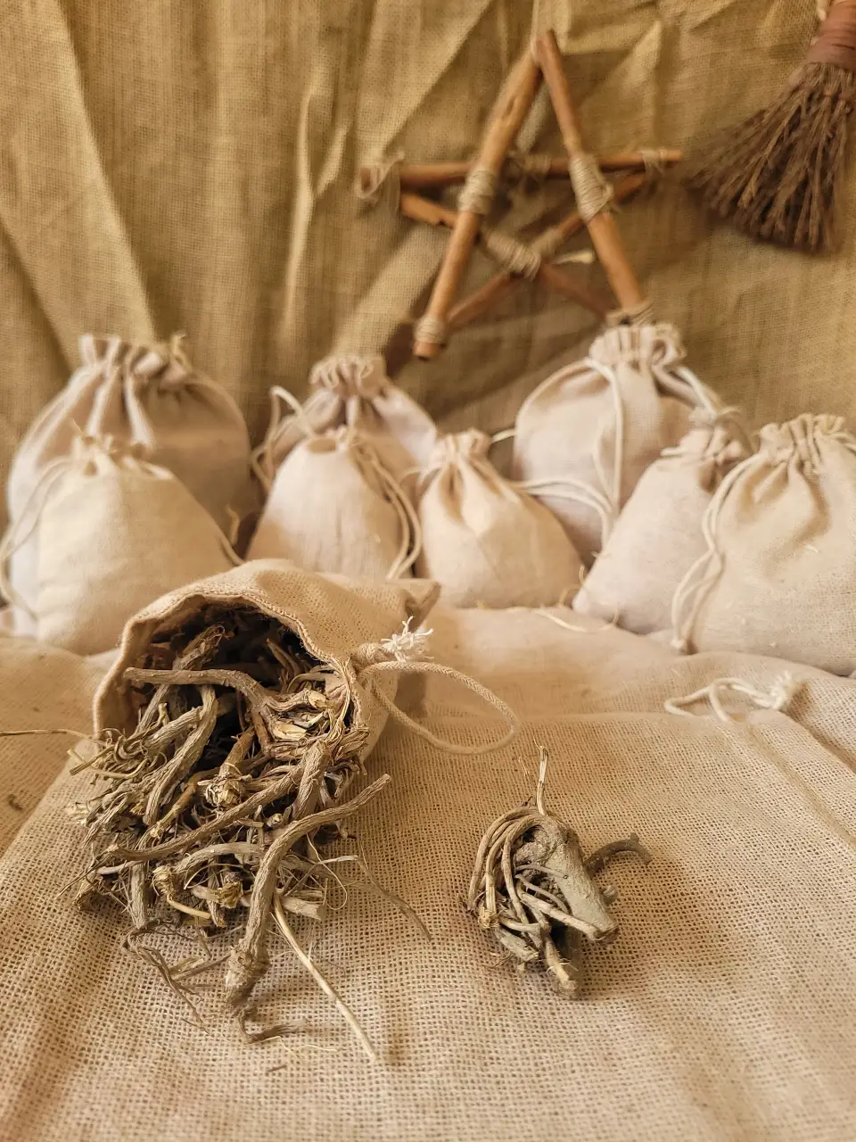 dendelion-root-emported-natural-herb