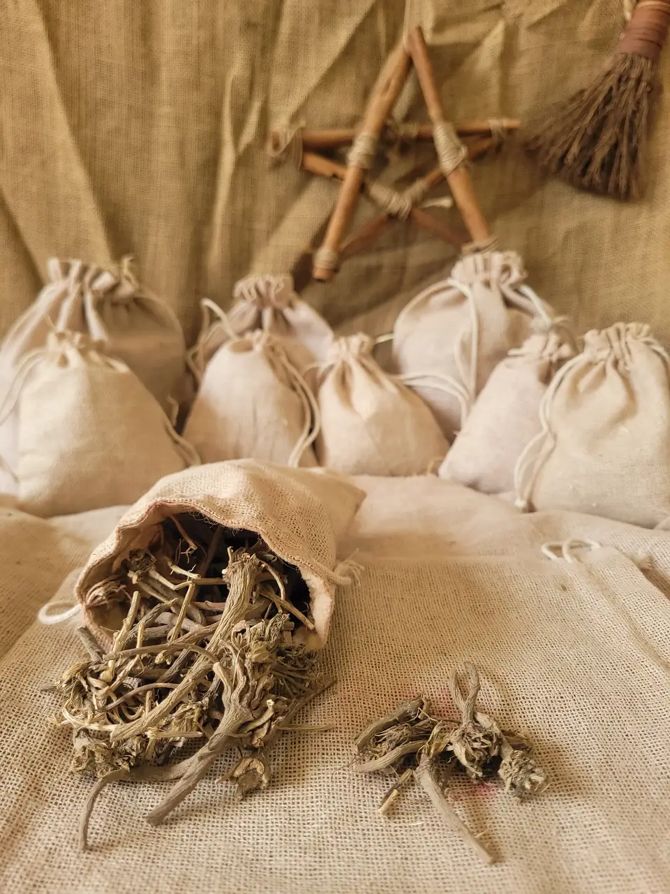 dendelion-root-natural-herb