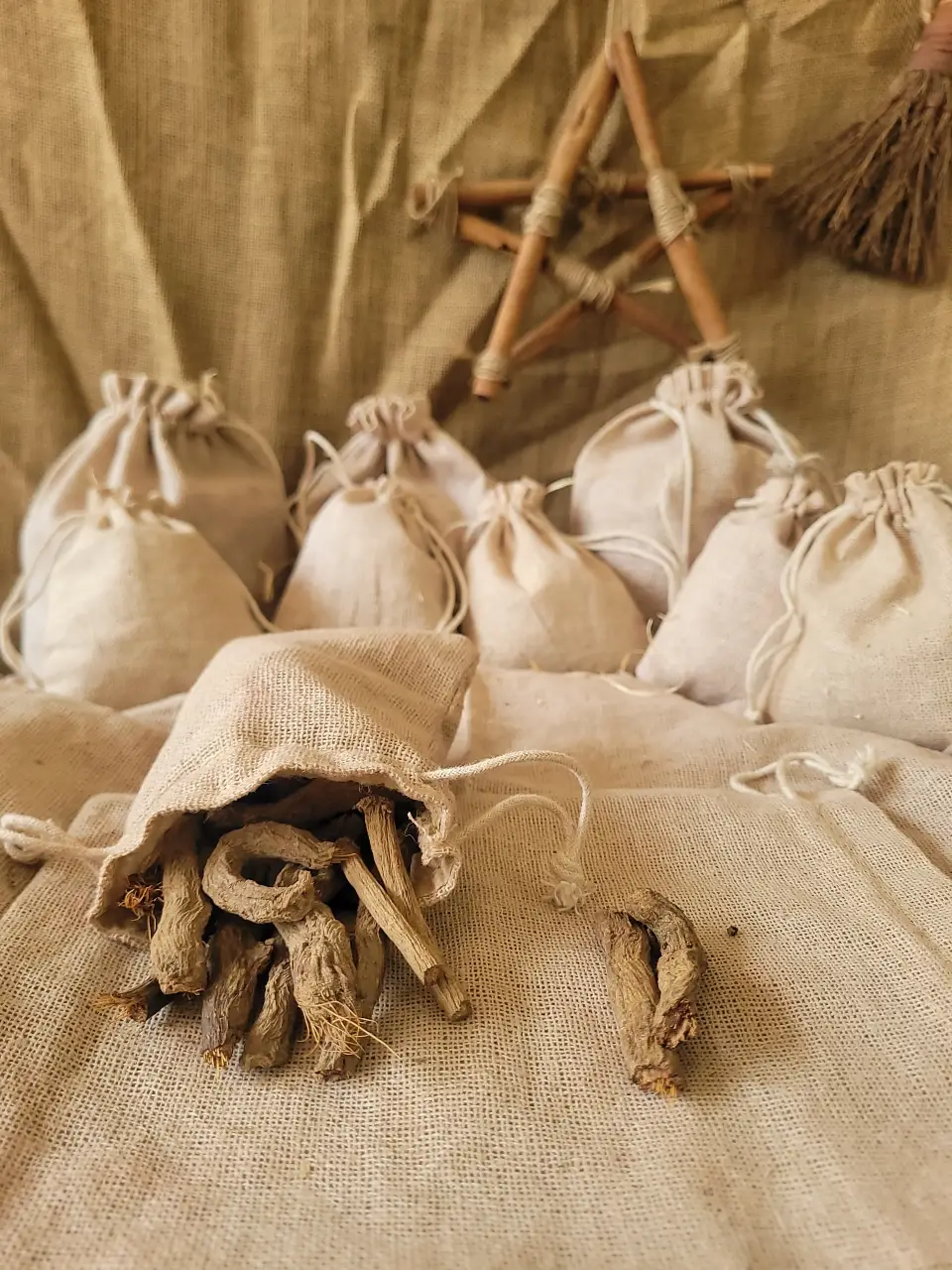 elecam-pane-natural-herb