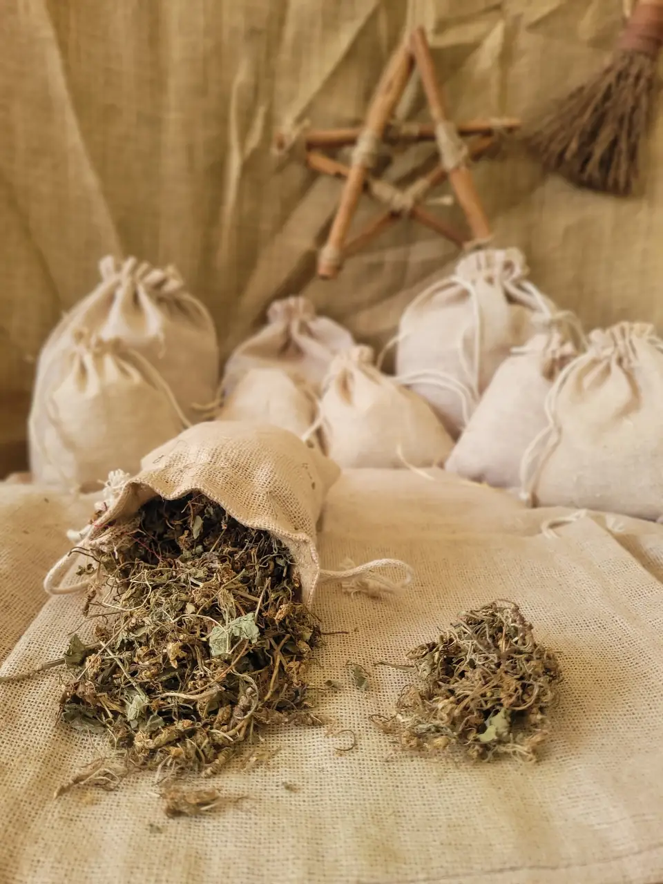 evening-primorse-natural-herb