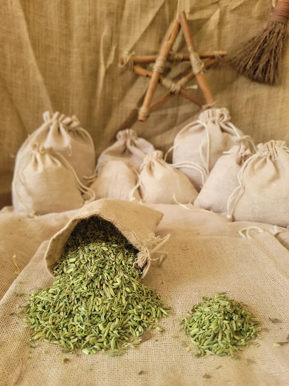 fennel-seeds-natural-herb
