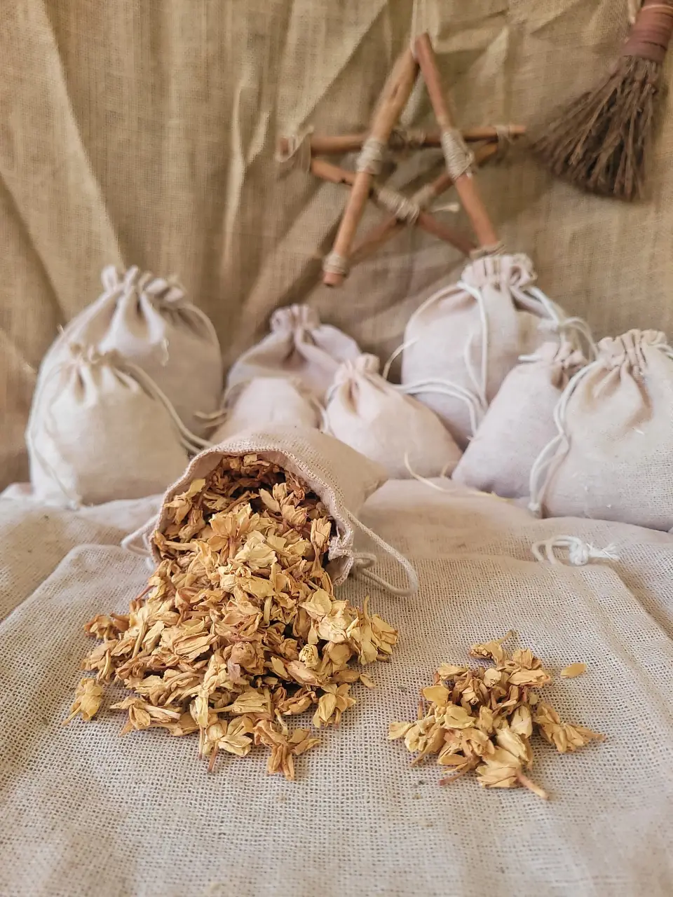 gardenia-natural-herb