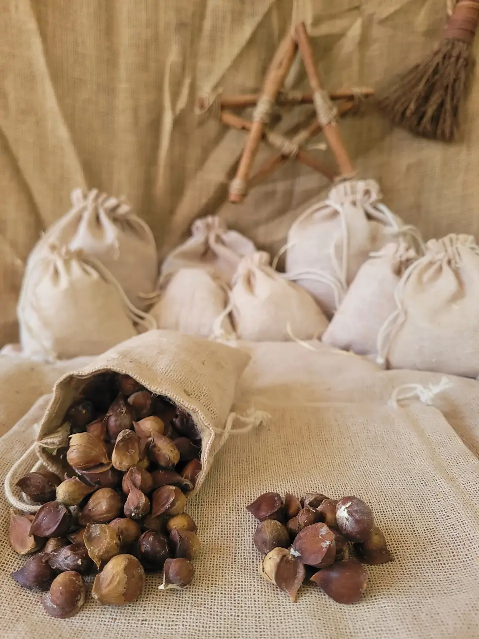 garlic-kashmiri-natural-herb