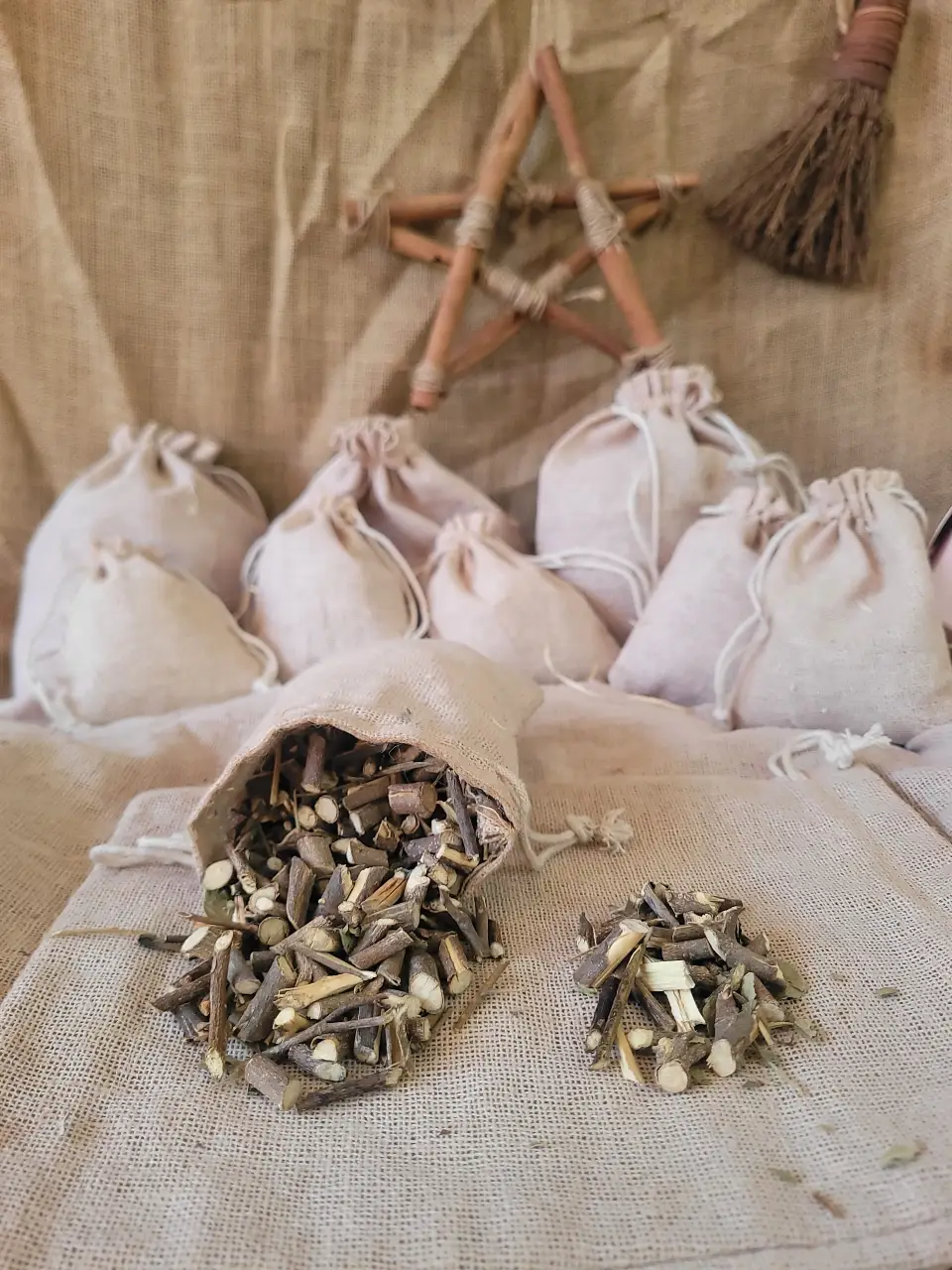 ginko-bilopa-root