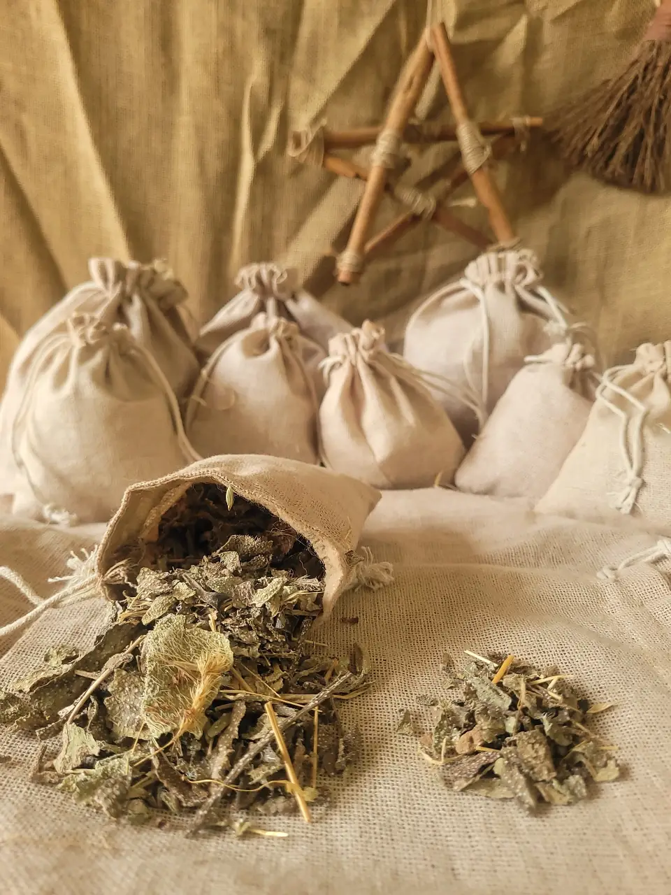 holly-natural-herb