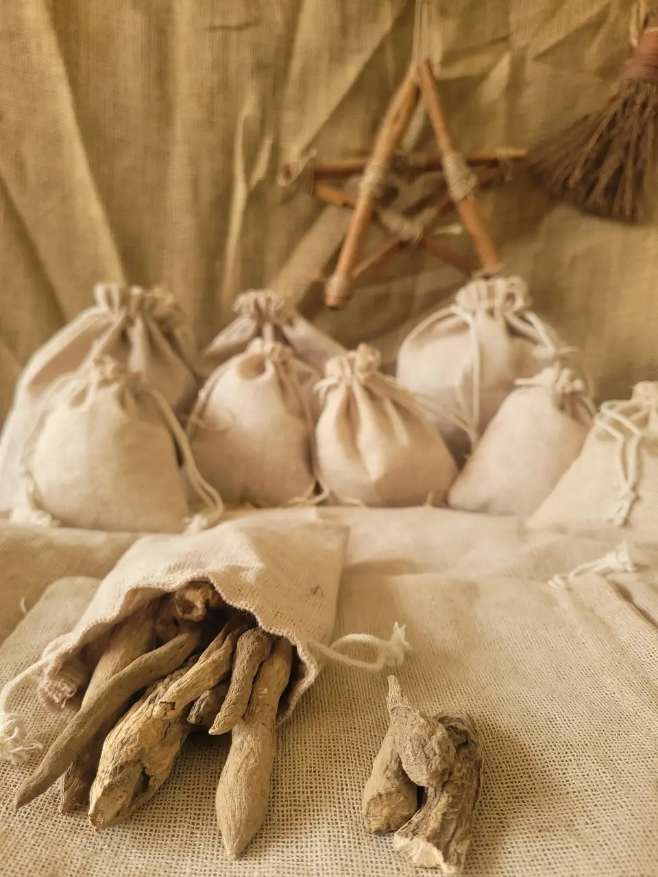 ivy-root-natural-herb